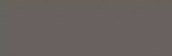 CESI 20X60-ANTRACITE 5MA200600-3