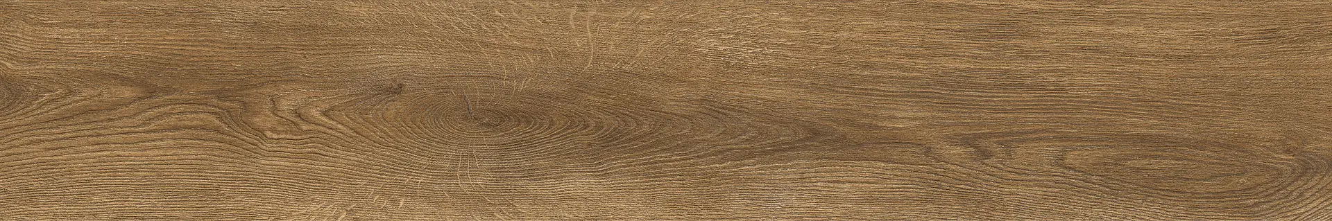 Ragno Inedito Nocciola Rt RADW