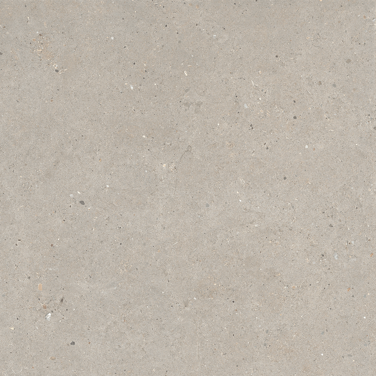 Italgraniti Silver Grain Taupe Antislip Sq. 60X60 SI0468A