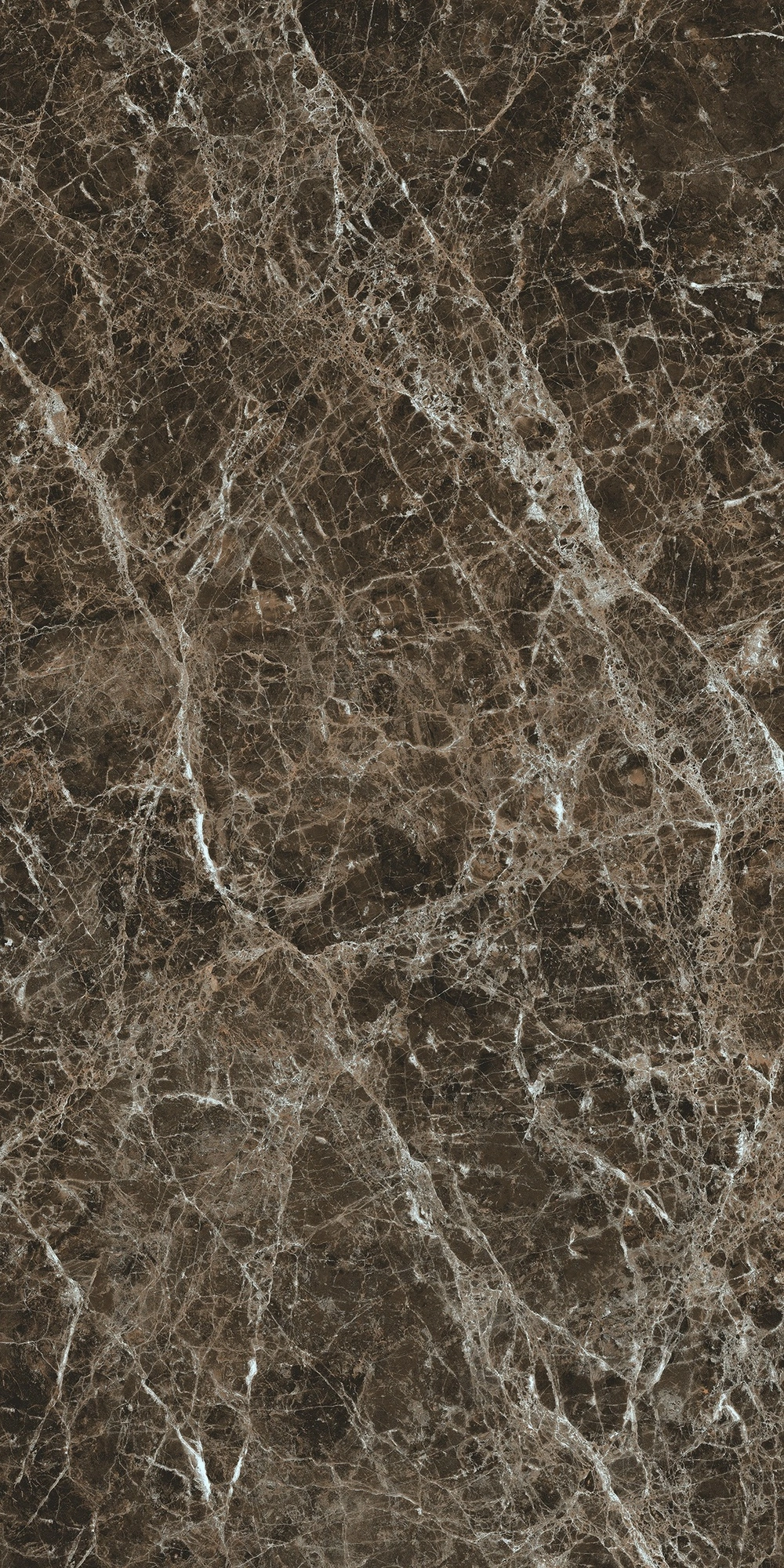 Florim Rex Bijoux Marron Imperial Glossy 60X120 Ret 766335