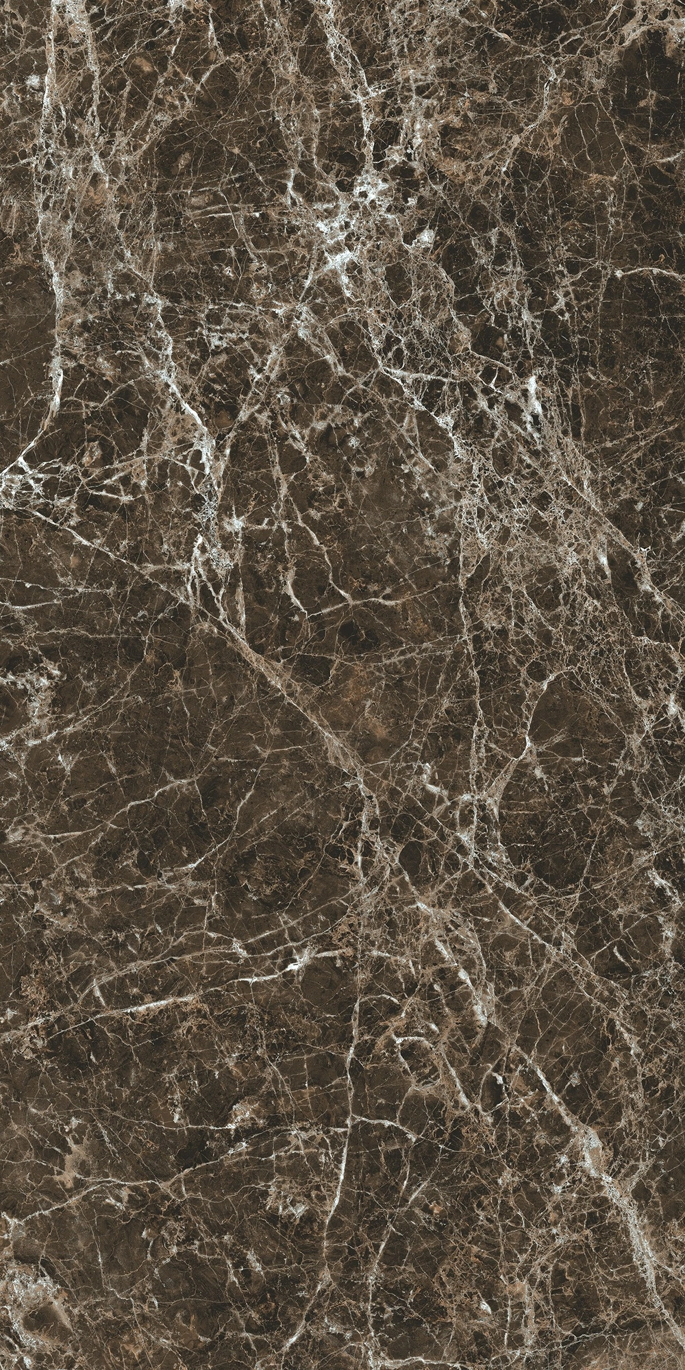 Florim Rex Bijoux Marron Imperial Glossy 60X120 Ret 766335