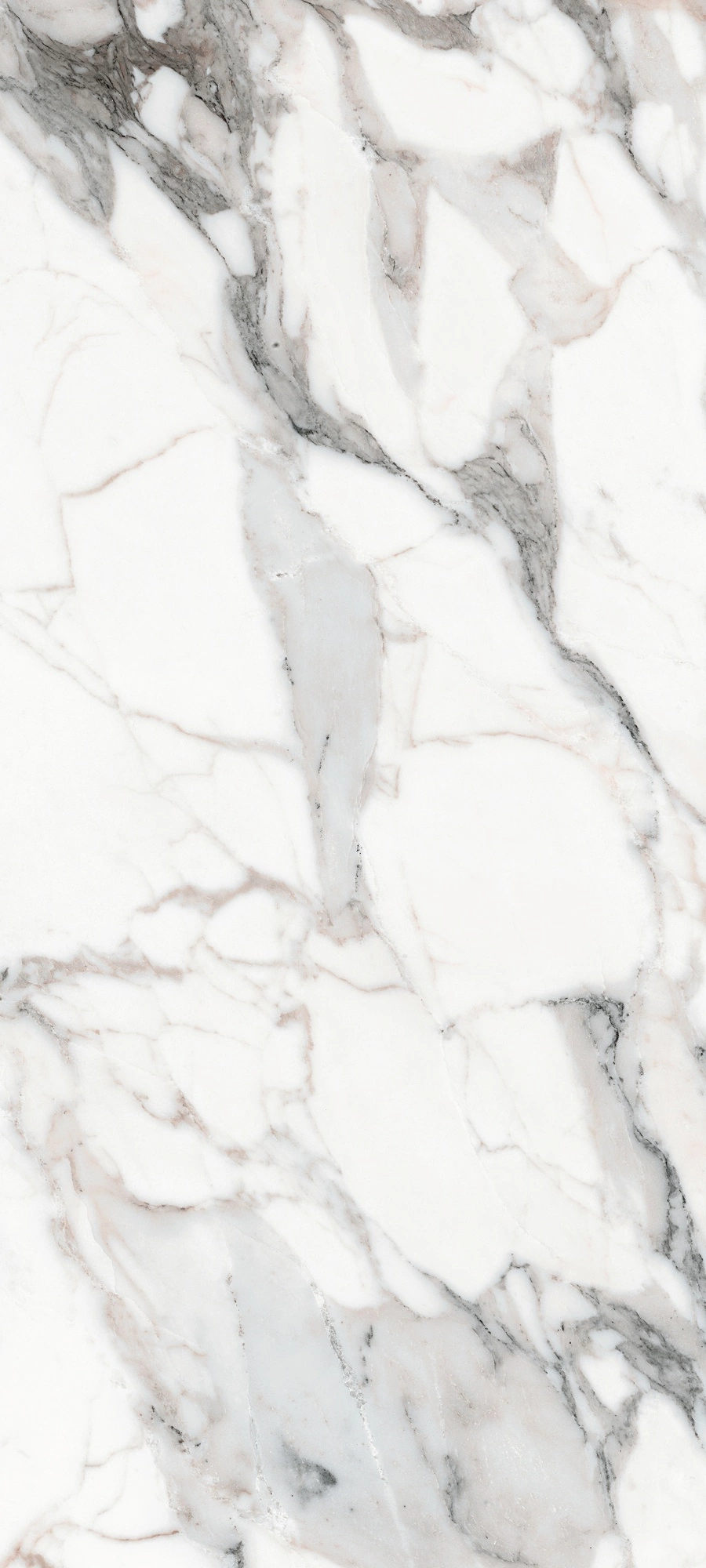 Florim Rex Les Origines De Rex Argent Mat 80X180 Rt 770434