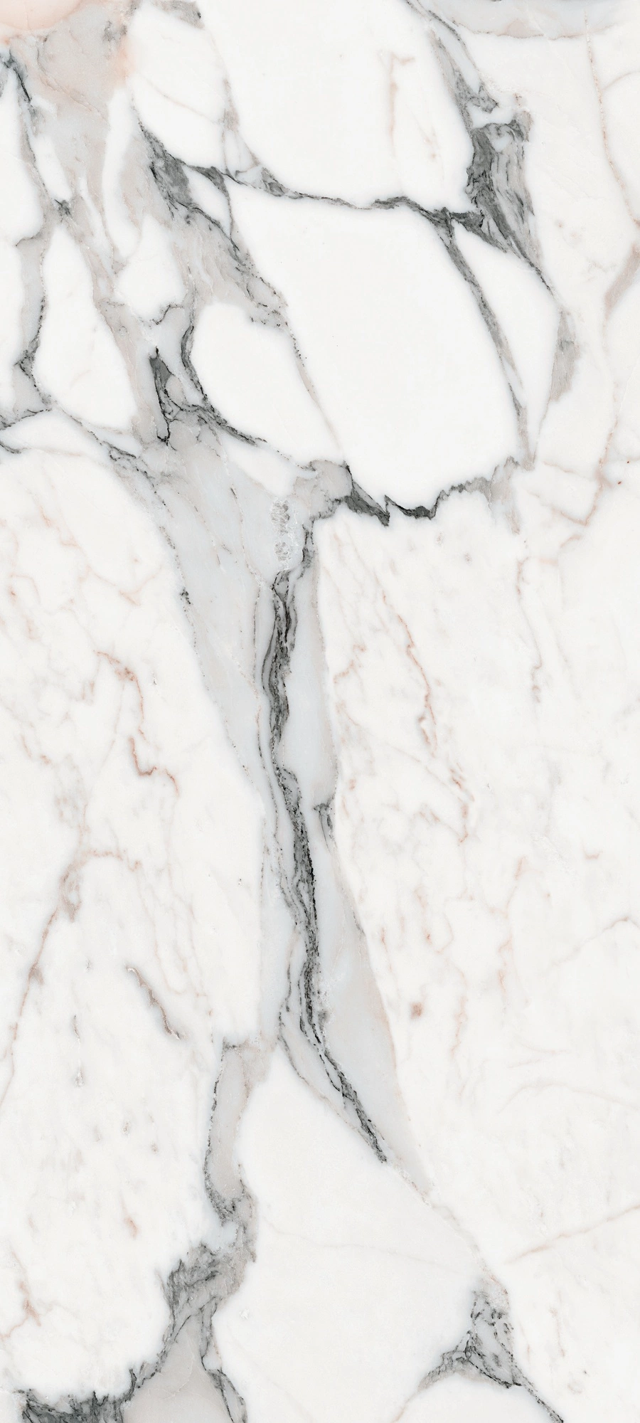 Florim Rex Les Origines De Rex Argent Mat 80X180 Rt 770434