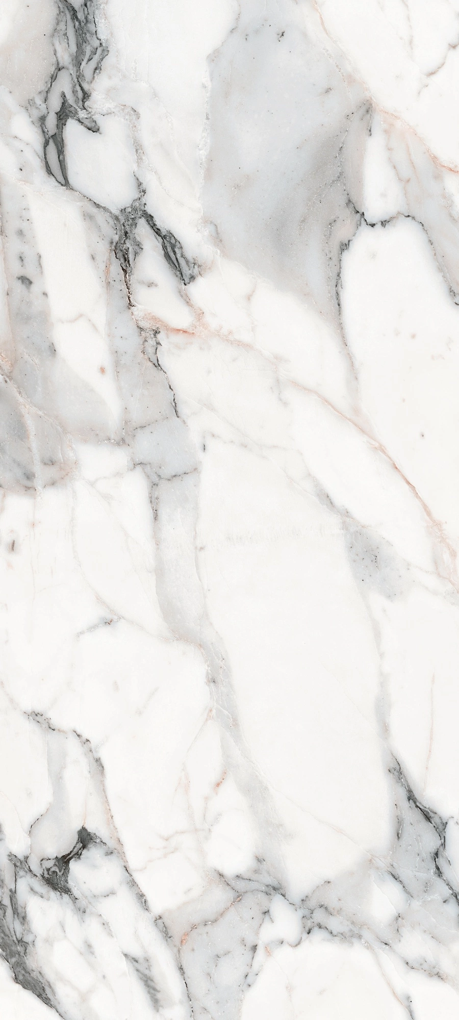 Florim Rex Les Origines De Rex Argent Mat 80X180 Rt 770434