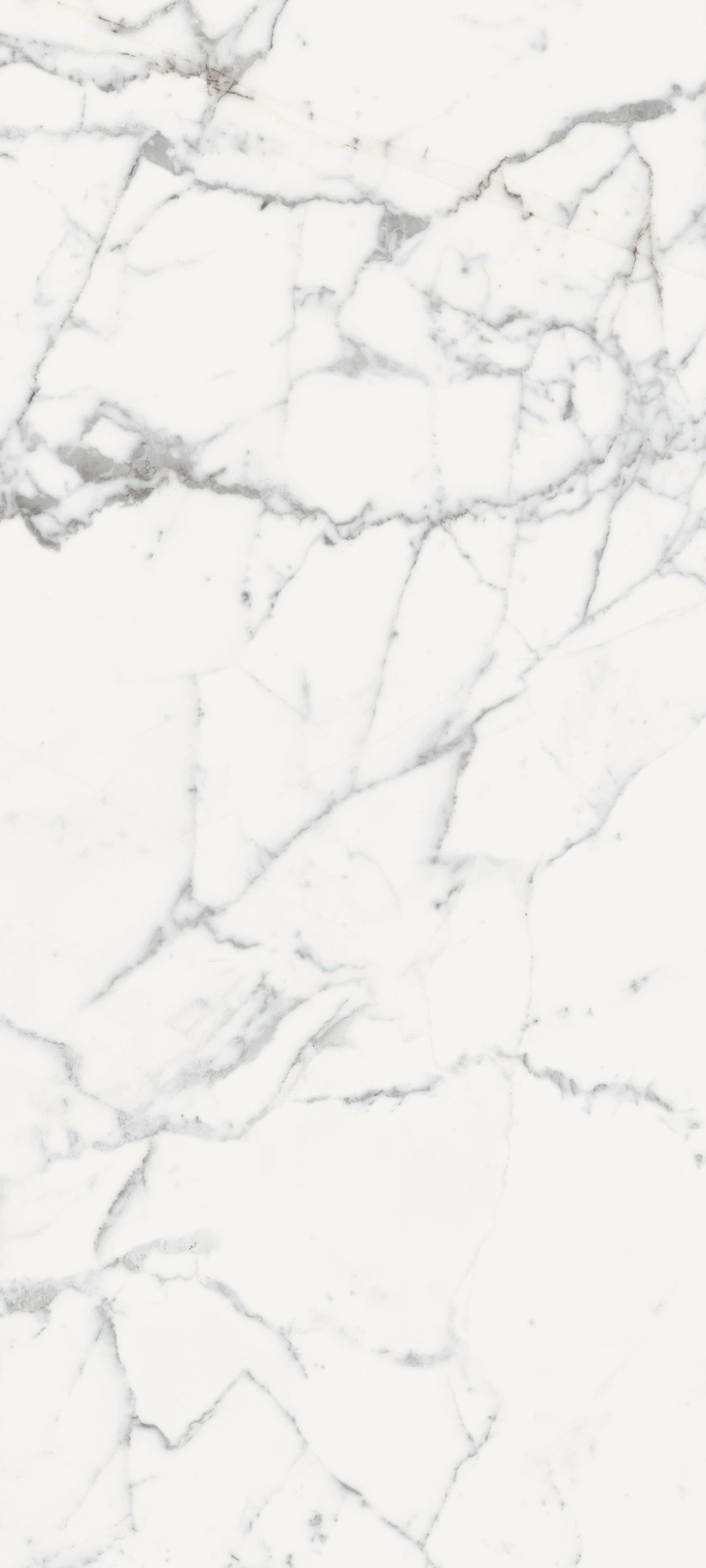 Florim Rex Les Origines De Rex Blanche Glo 80X180Rt 770439