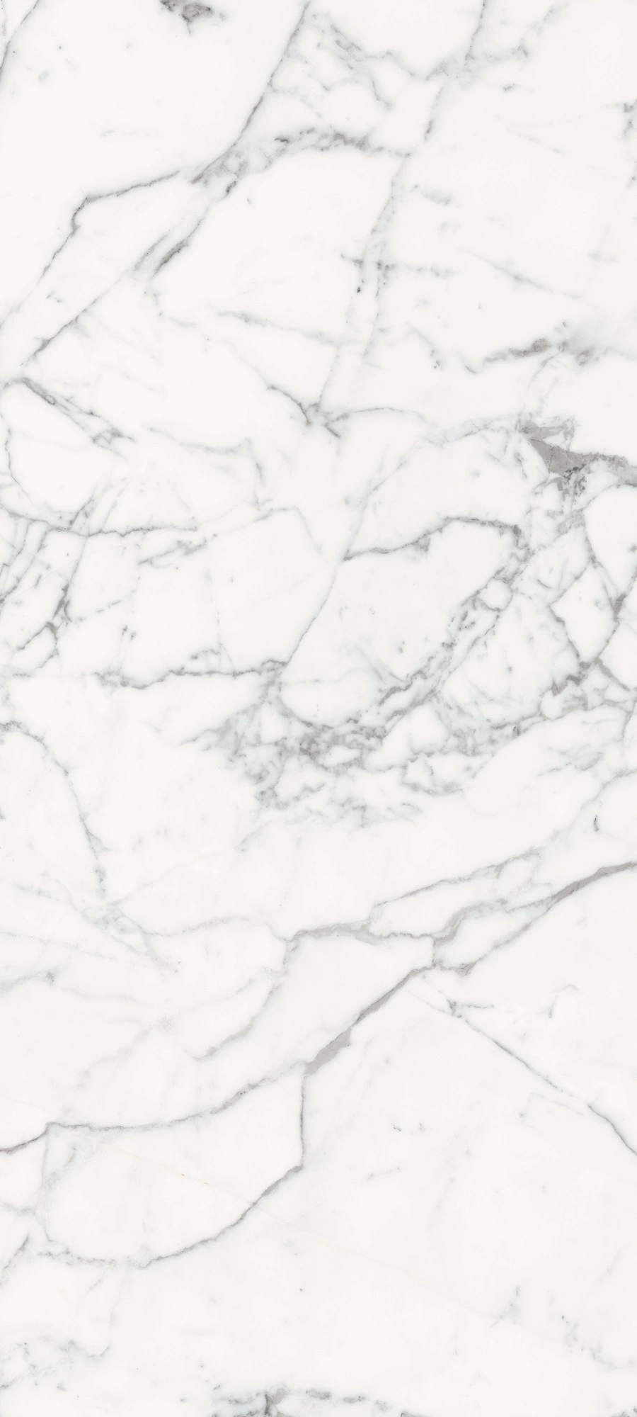 Florim Rex Les Origines De Rex Blanche Glo 80X180Rt 770439