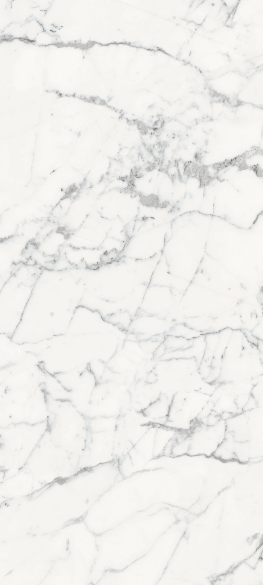 Florim Rex Les Origines De Rex Blanche Mat 80X180Rt 770435