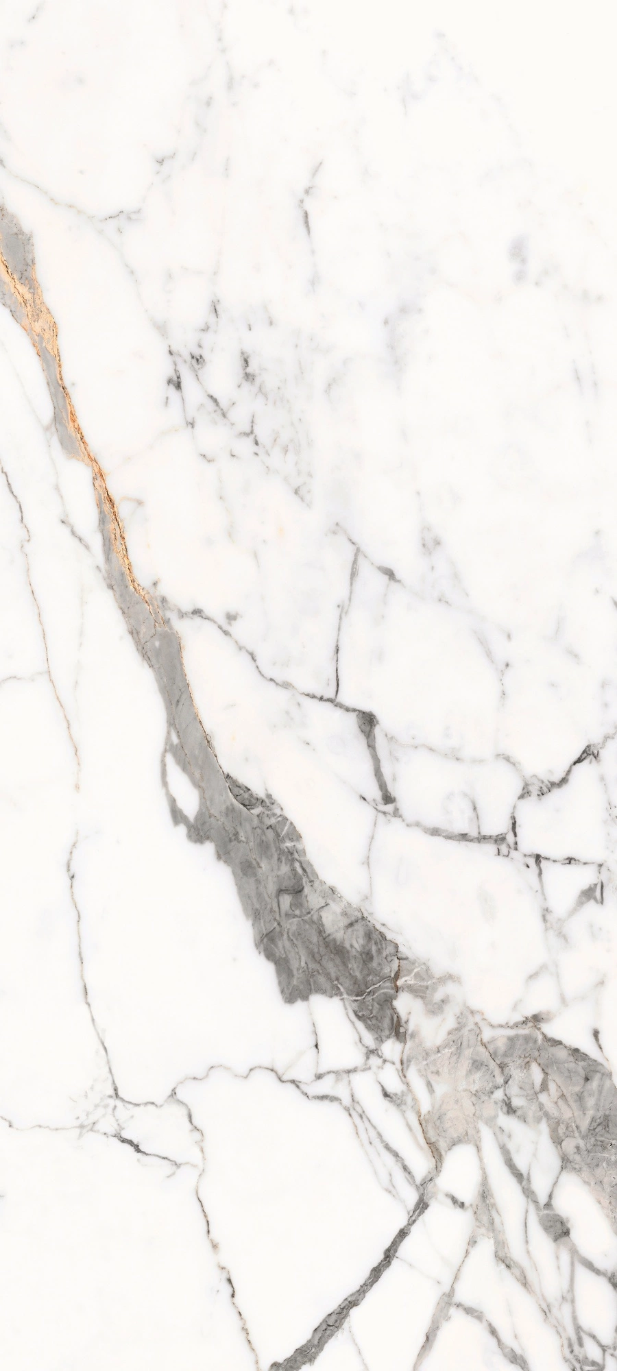 Florim Rex Les Origines De Rex Or Mat 80X180 Ret 770433