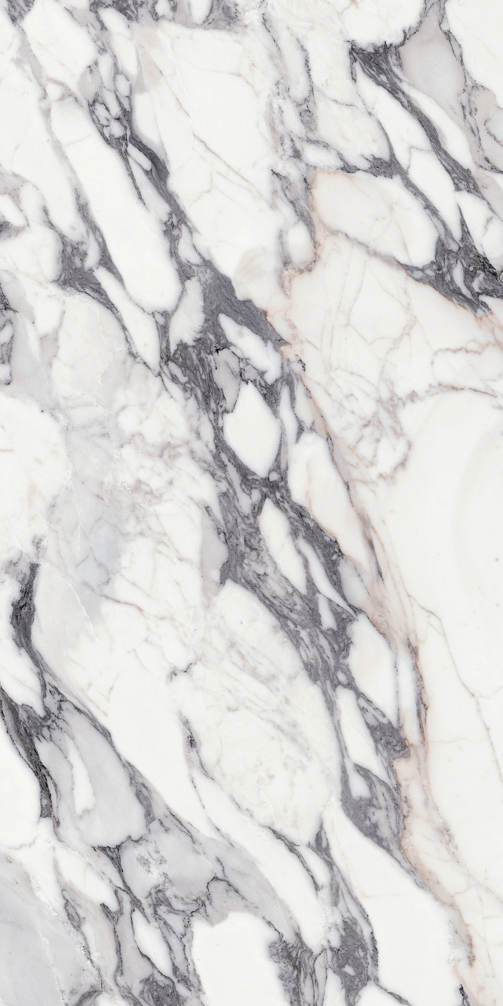 Florim Rex Origines De Rex Argent Glo 6Mm 120X240 R 769967