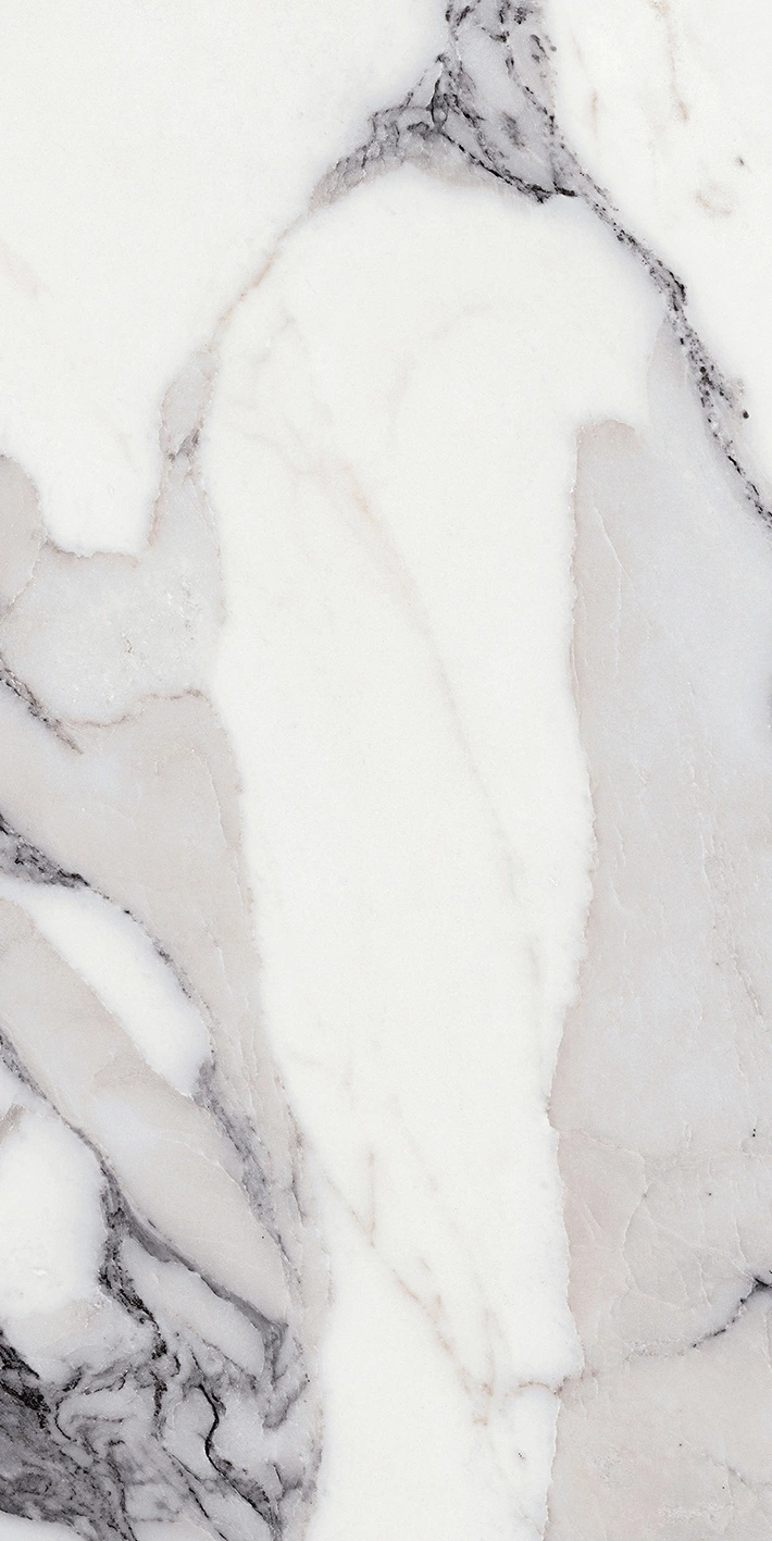 Florim Rex Origines De Rex Argent Glo 6Mm 60X120 R 769983