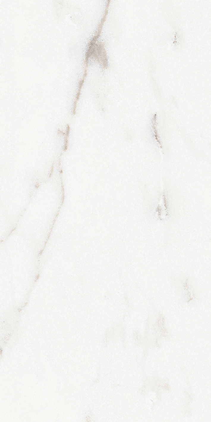 Florim Rex Origines De Rex Argent Glossy 30X60 Rett 769851