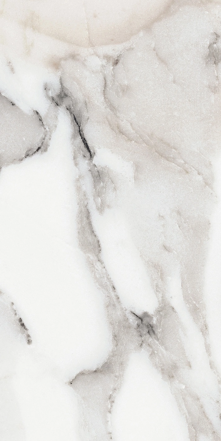 Florim Rex Origines De Rex Argent Glossy 30X60 Rett 769851