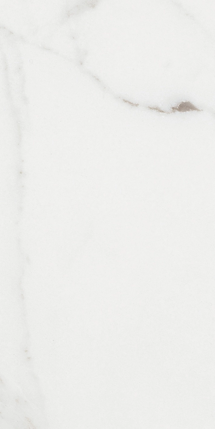 Florim Rex Origines De Rex Argent Glossy 30X60 Rett 769851