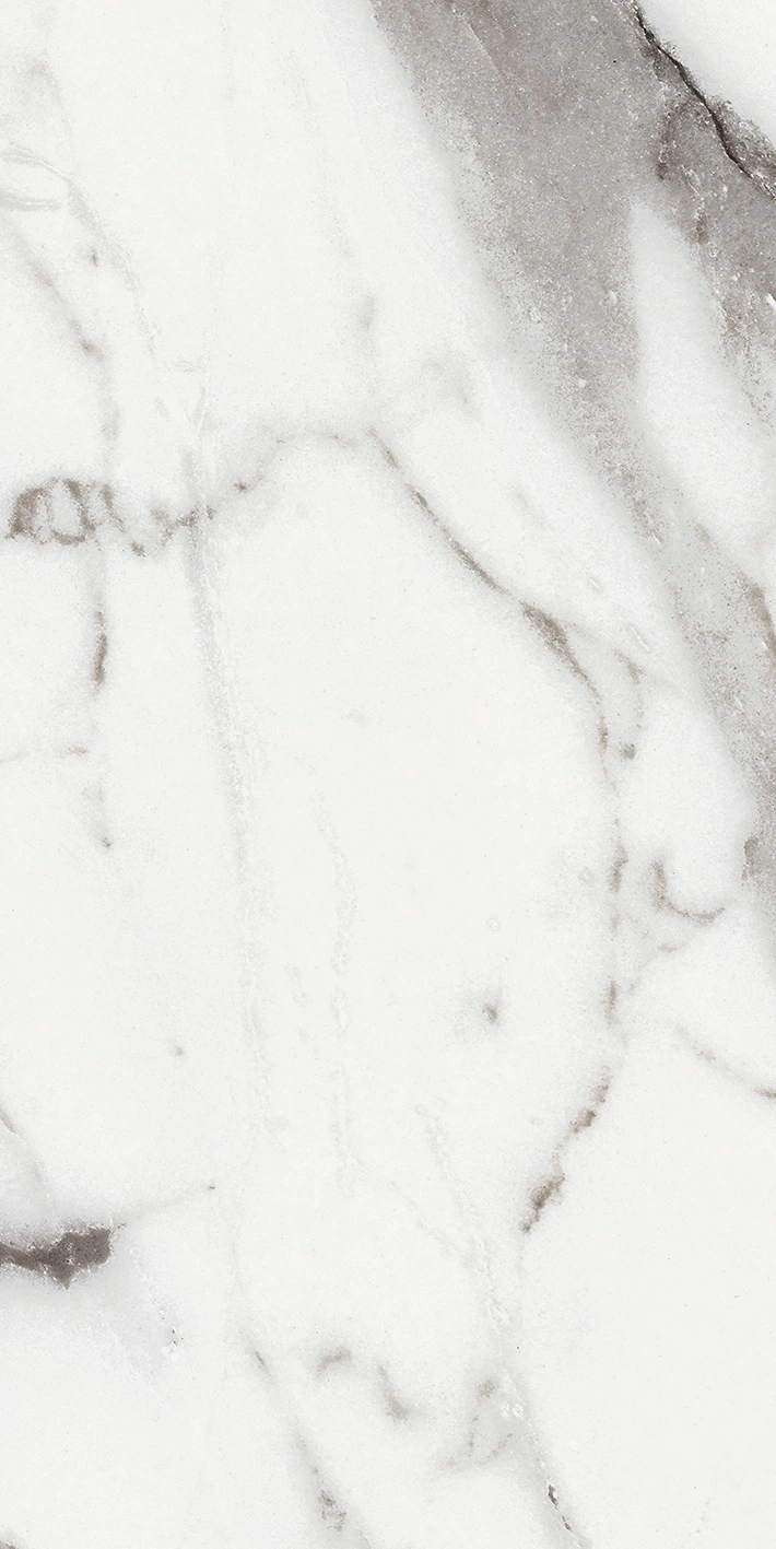 Florim Rex Origines De Rex Argent Glossy 30X60 Rett 769851