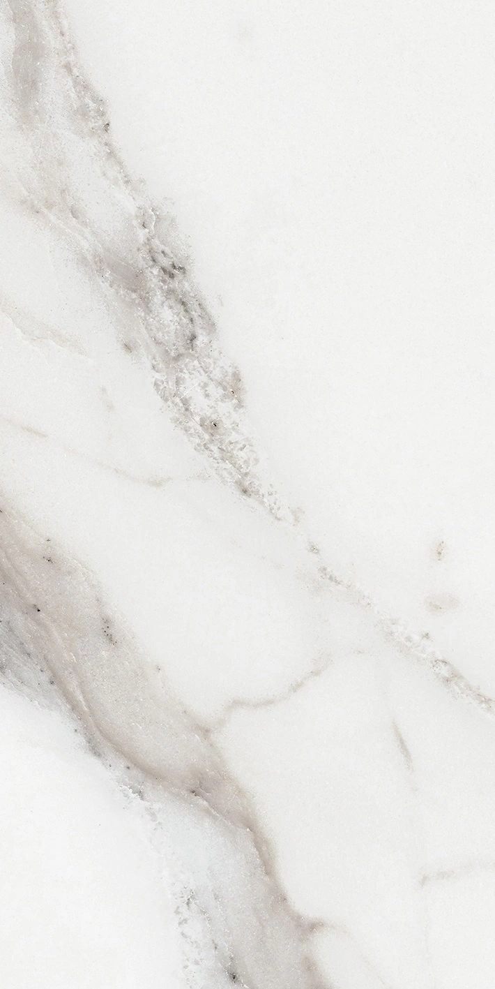 Florim Rex Origines De Rex Argent Glossy 30X60 Rett 769851