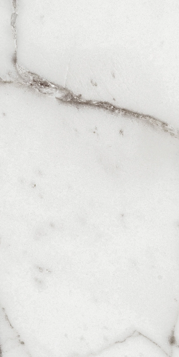 Florim Rex Origines De Rex Argent Glossy 30X60 Rett 769851