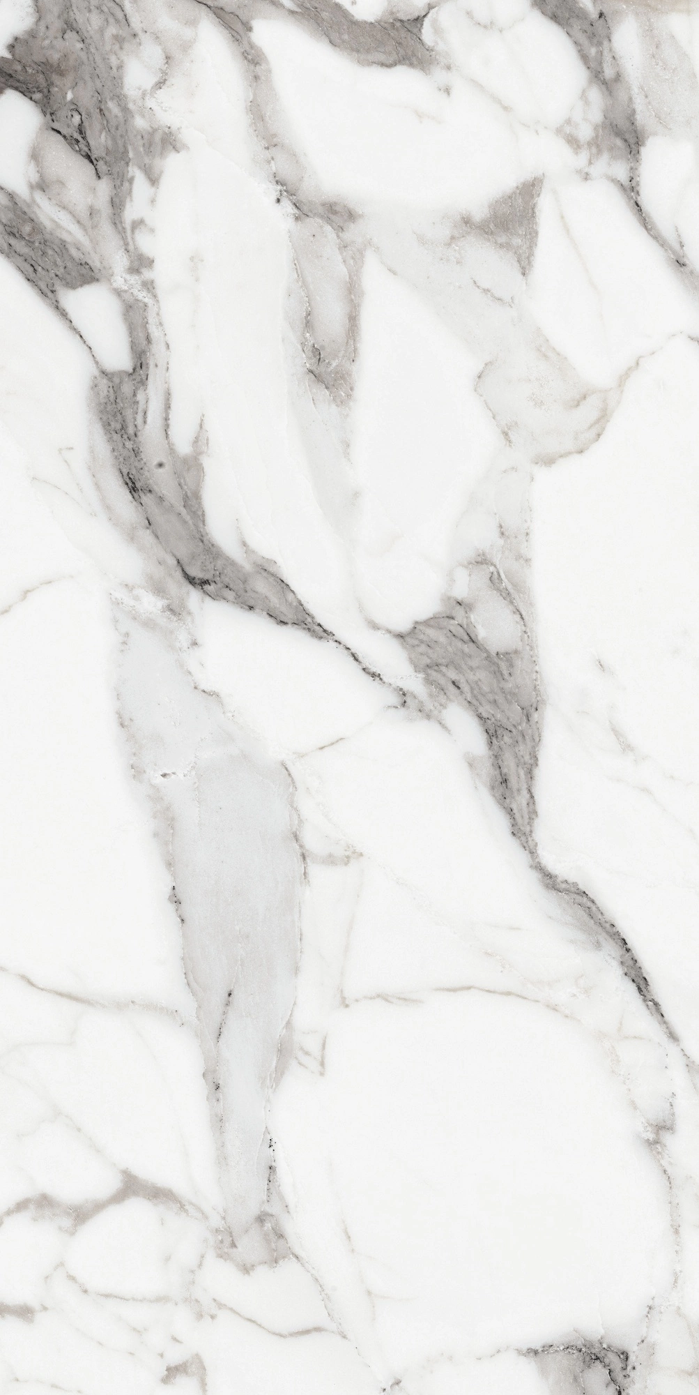 Florim Rex Origines De Rex Argent Glossy 60X120 Ret 769859