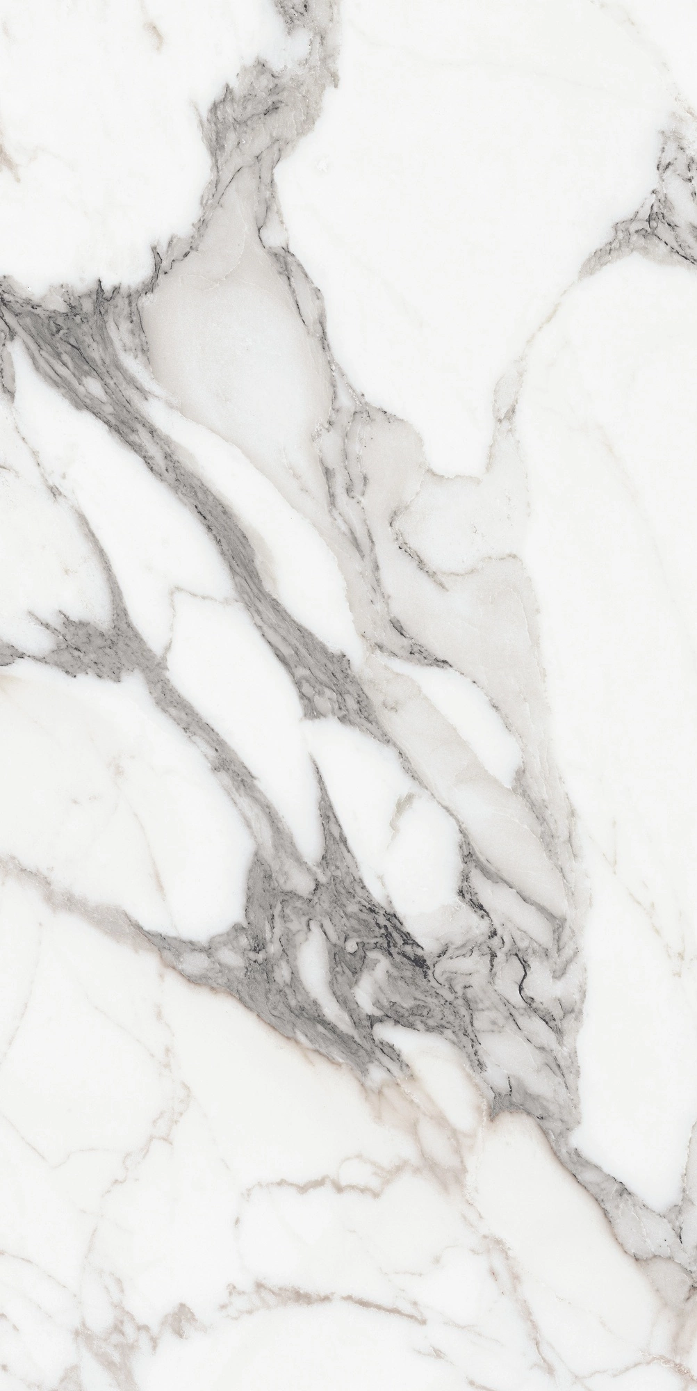 Florim Rex Origines De Rex Argent Glossy 60X120 Ret 769859