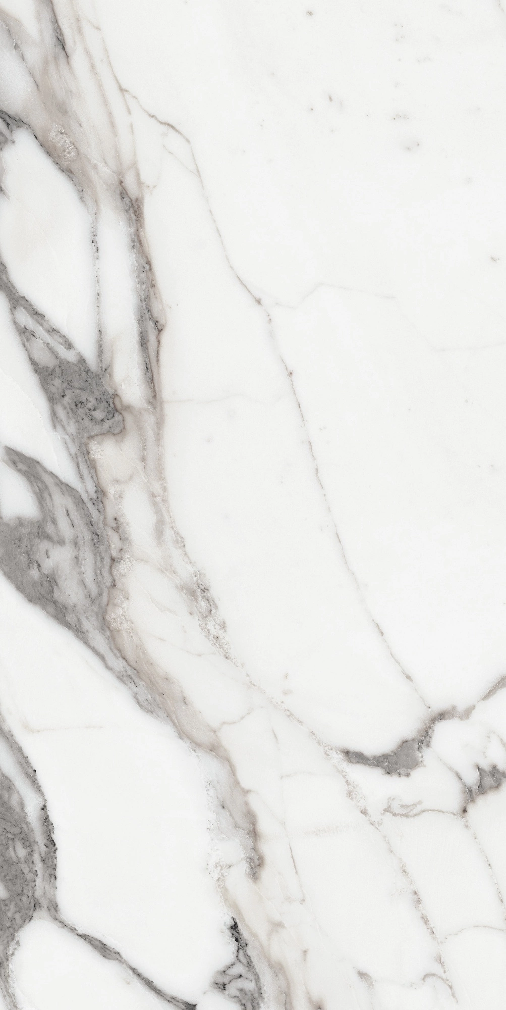 Florim Rex Origines De Rex Argent Glossy 60X120 Ret 769859