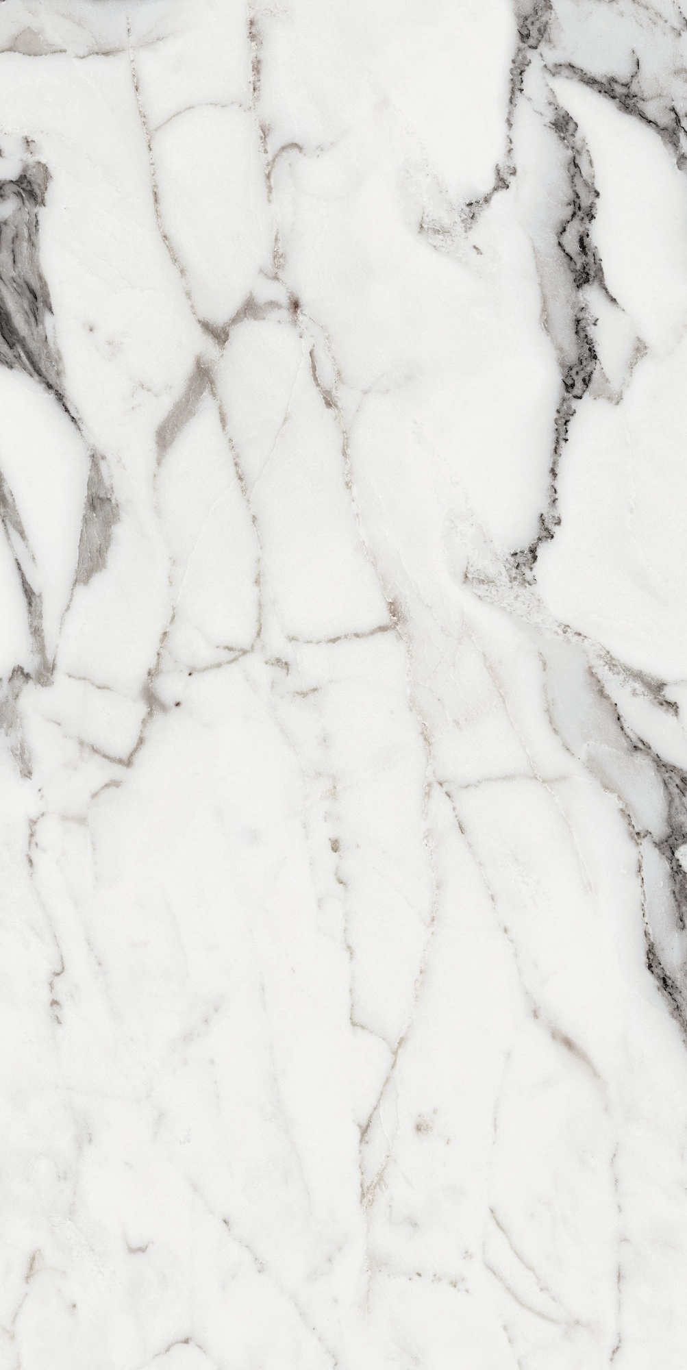 Florim Rex Origines De Rex Argent Glossy 60X120 Ret 769859