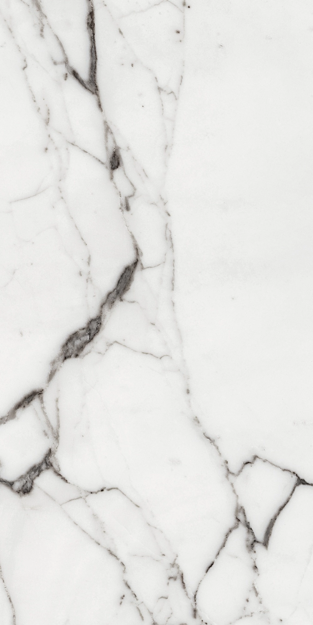 Florim Rex Origines De Rex Argent Glossy 60X120 Ret 769859