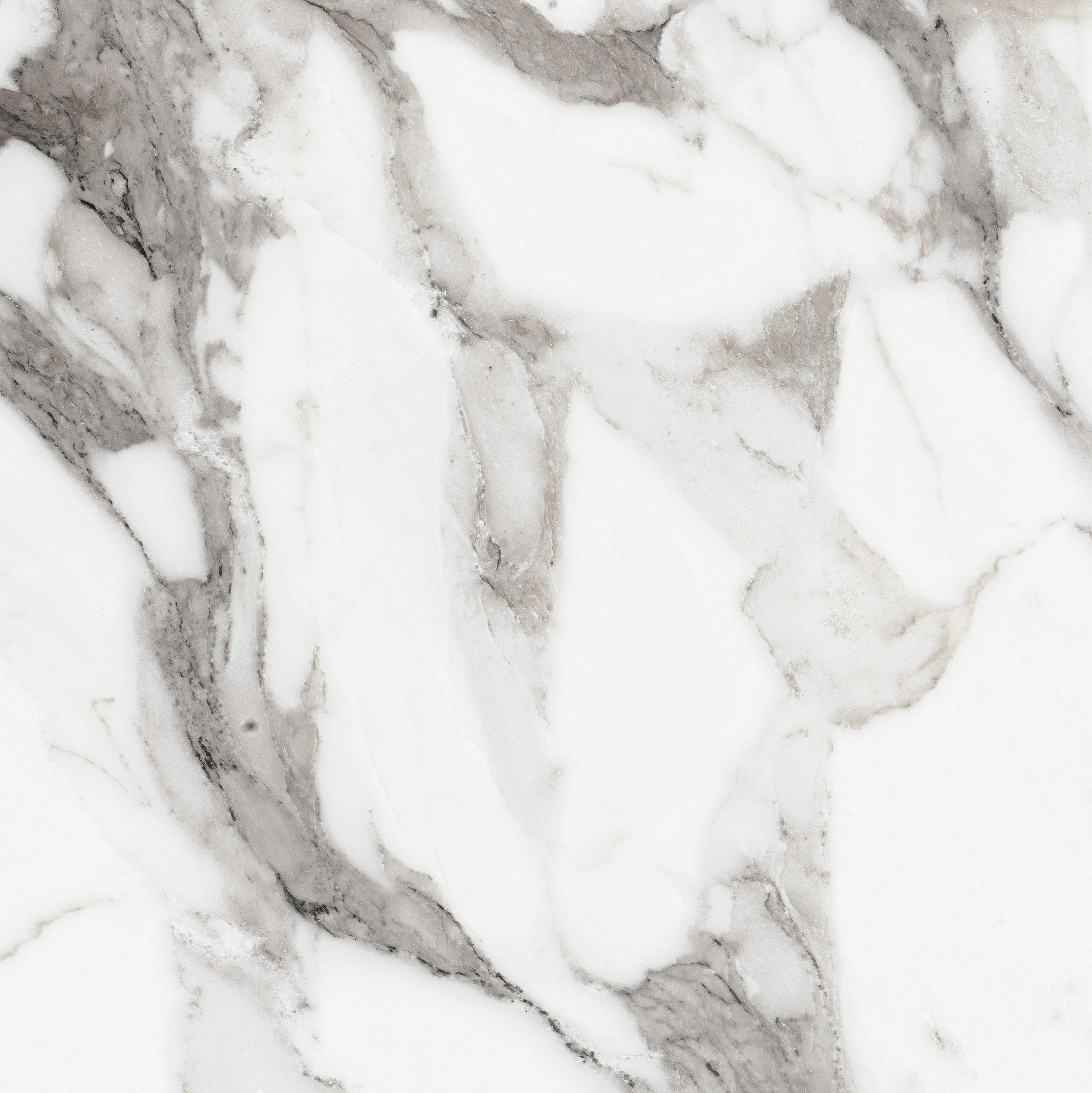 Florim Rex Origines De Rex Argent Glossy 60X60 Rett 769843