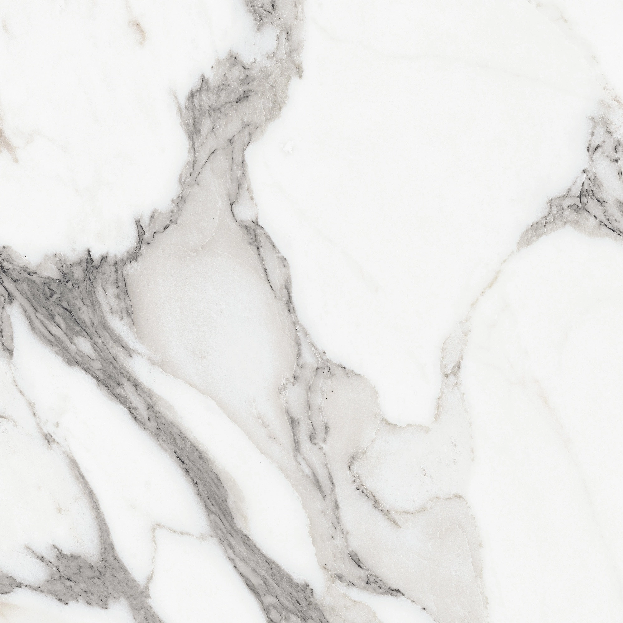 Florim Rex Origines De Rex Argent Glossy 60X60 Rett 769843