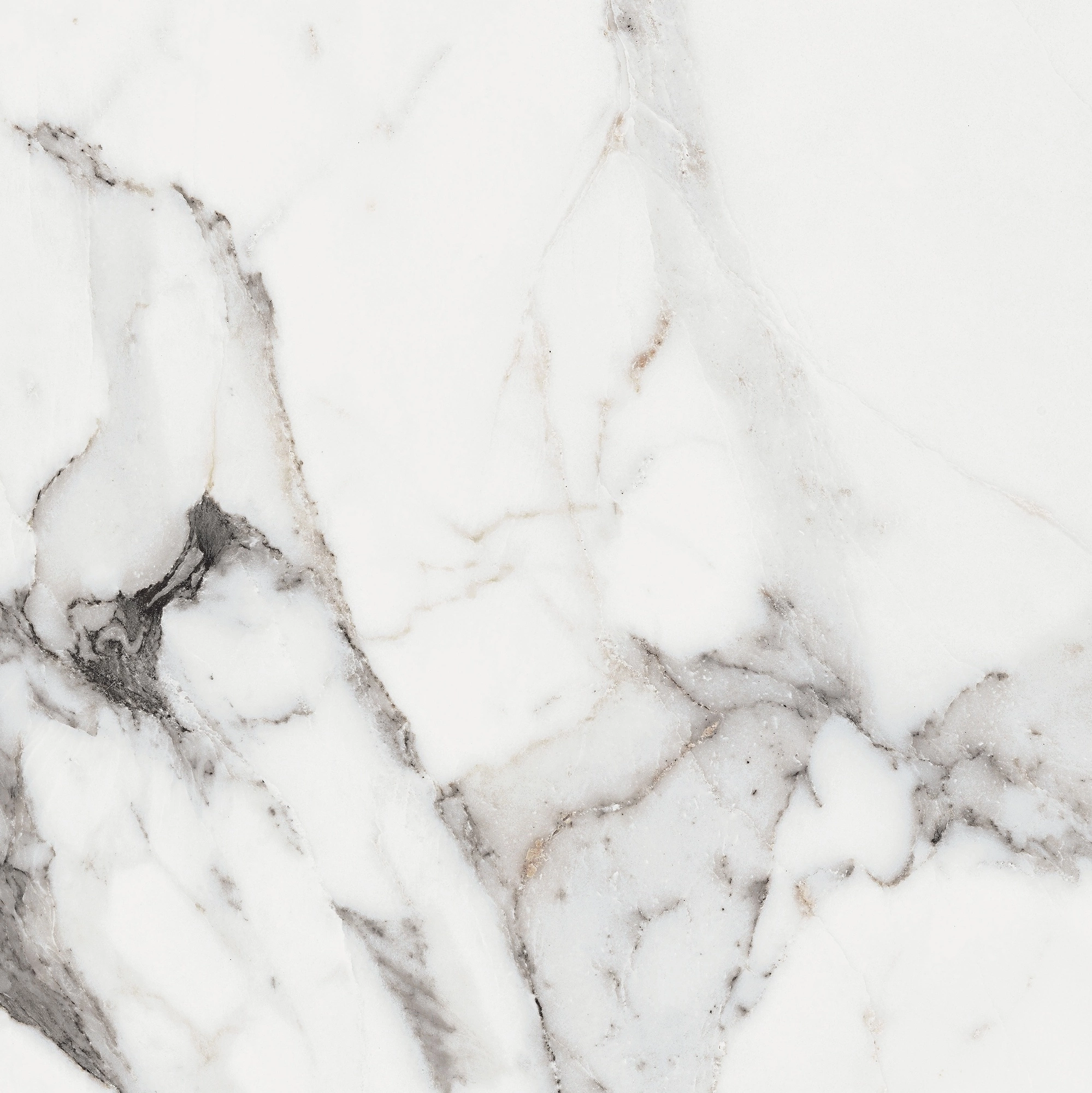 Florim Rex Origines De Rex Argent Glossy 60X60 Rett 769843