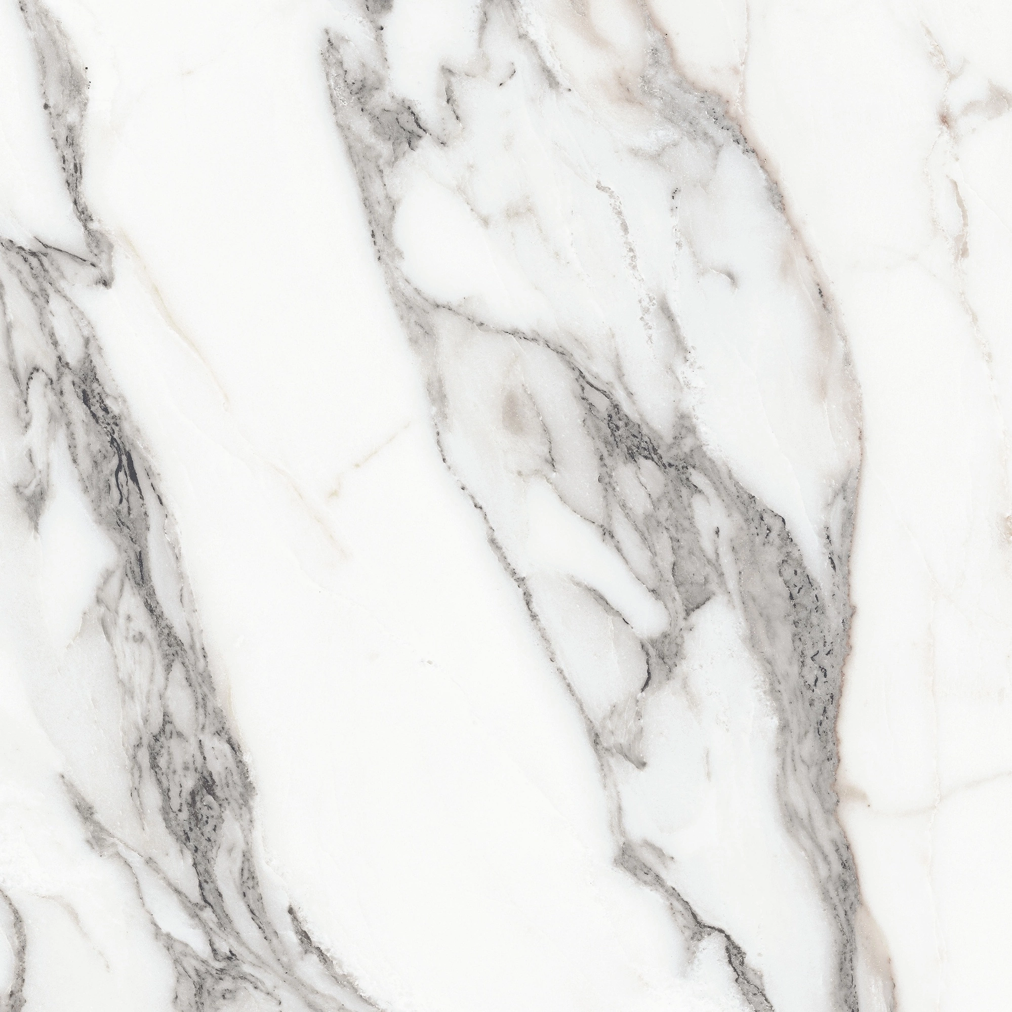 Florim Rex Origines De Rex Argent Glossy 60X60 Rett 769843