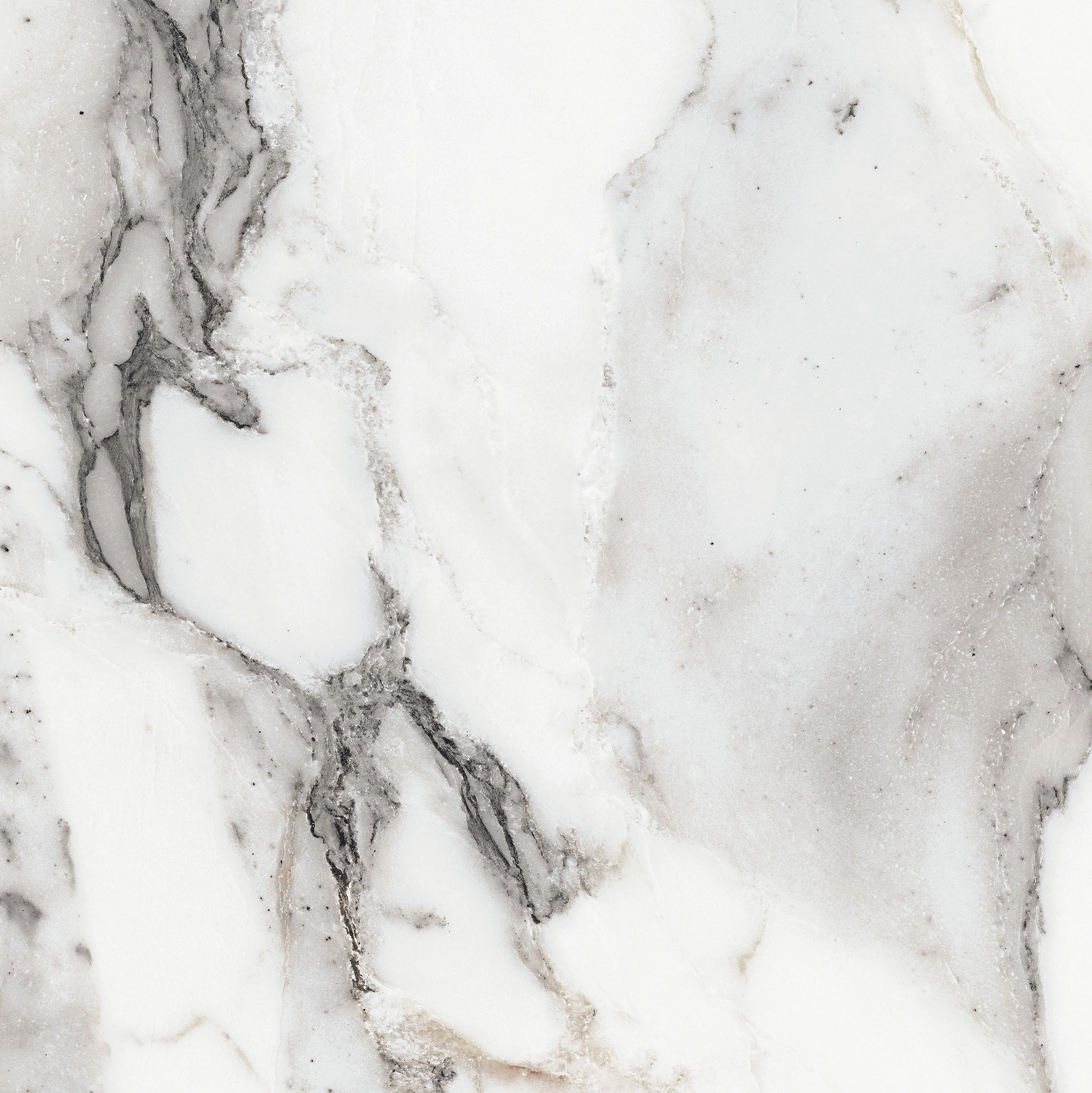 Florim Rex Origines De Rex Argent Glossy 60X60 Rett 769843