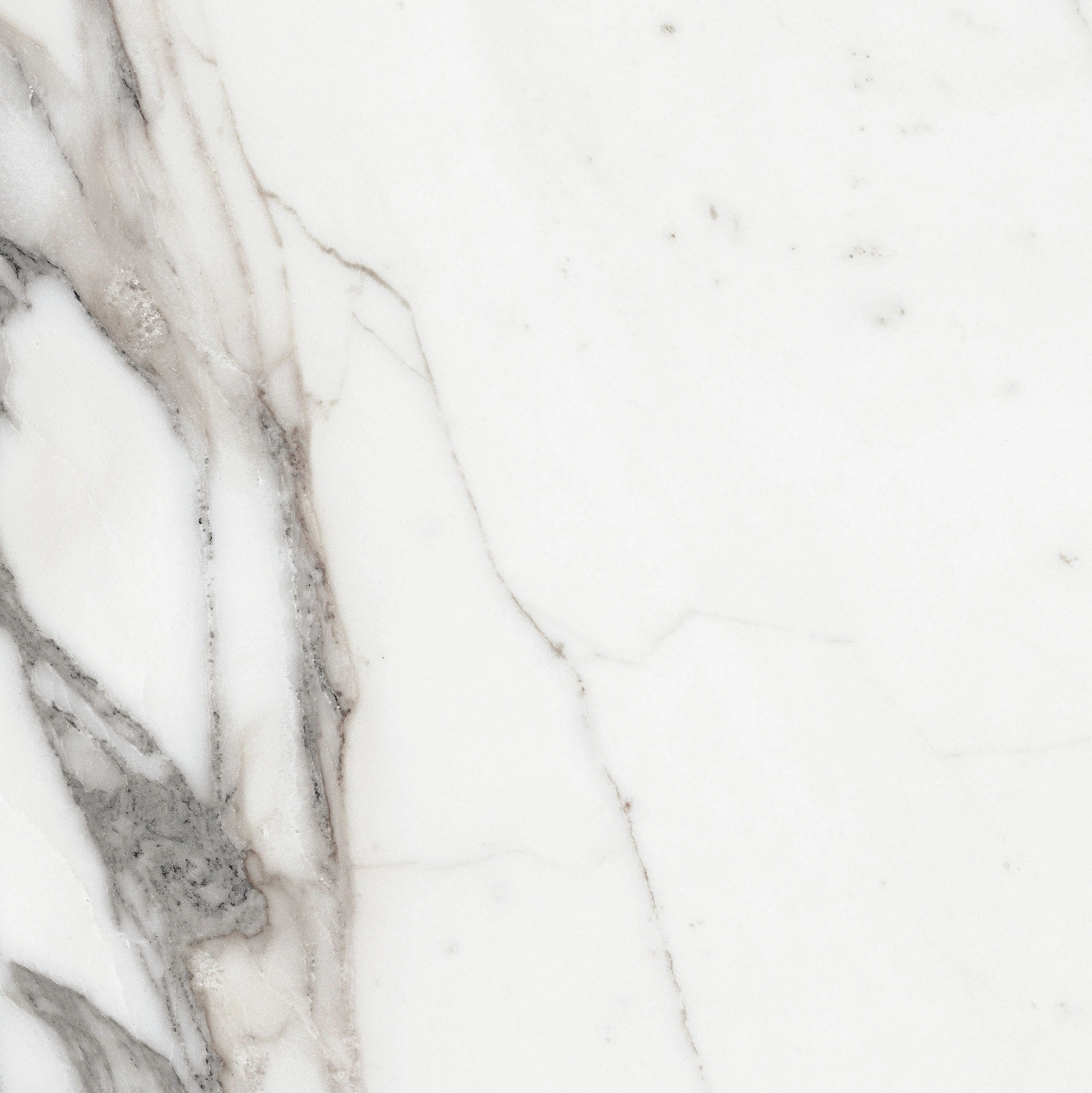 Florim Rex Origines De Rex Argent Glossy 60X60 Rett 769843