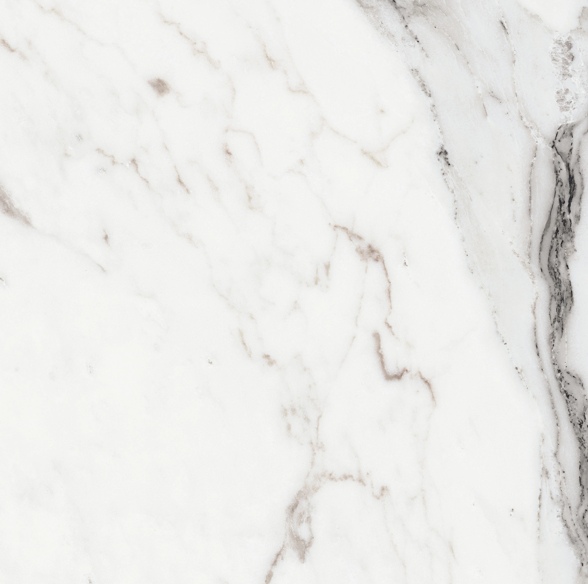 Florim Rex Origines De Rex Argent Glossy 60X60 Rett 769843