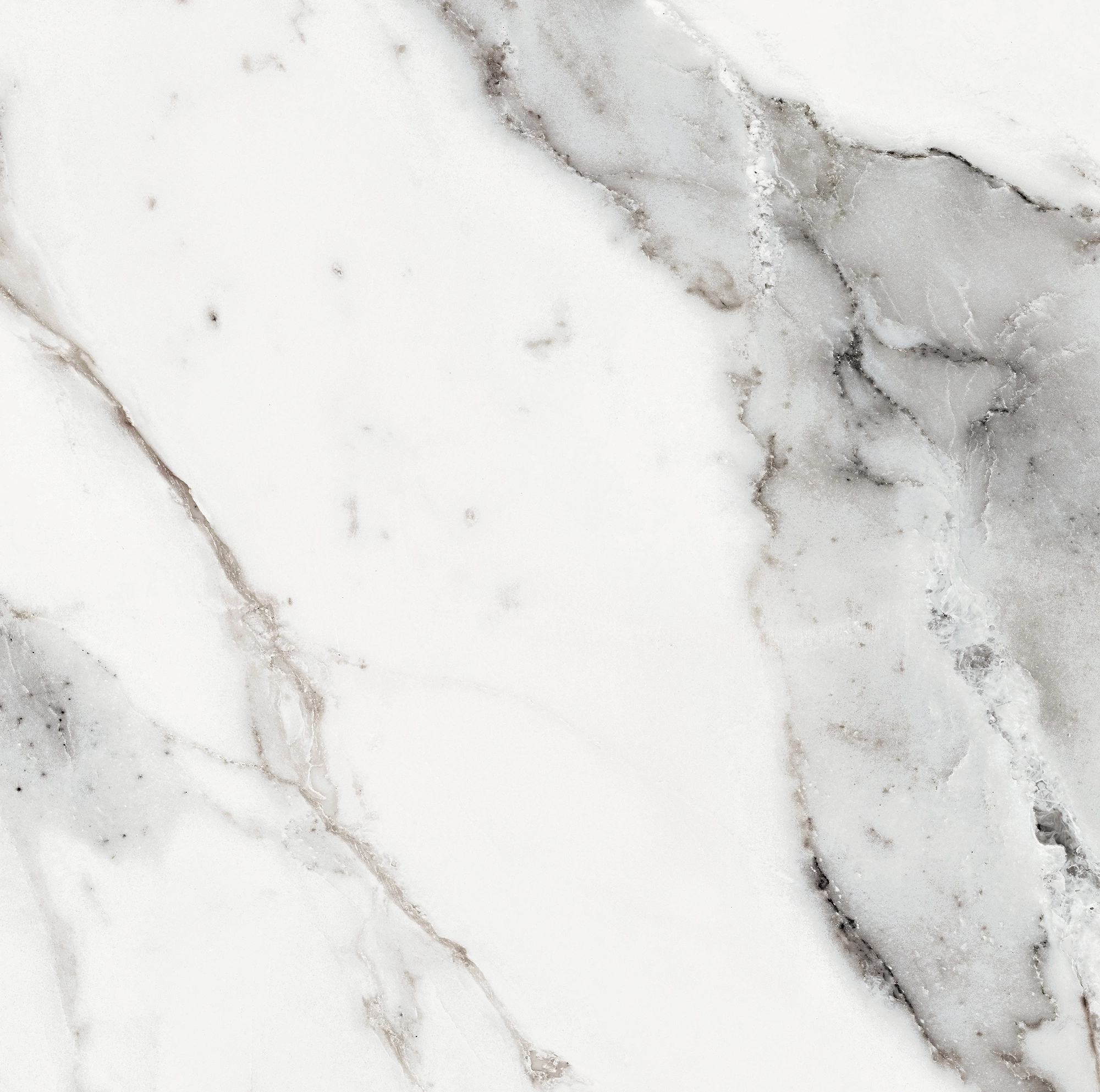 Florim Rex Origines De Rex Argent Glossy 60X60 Rett 769843