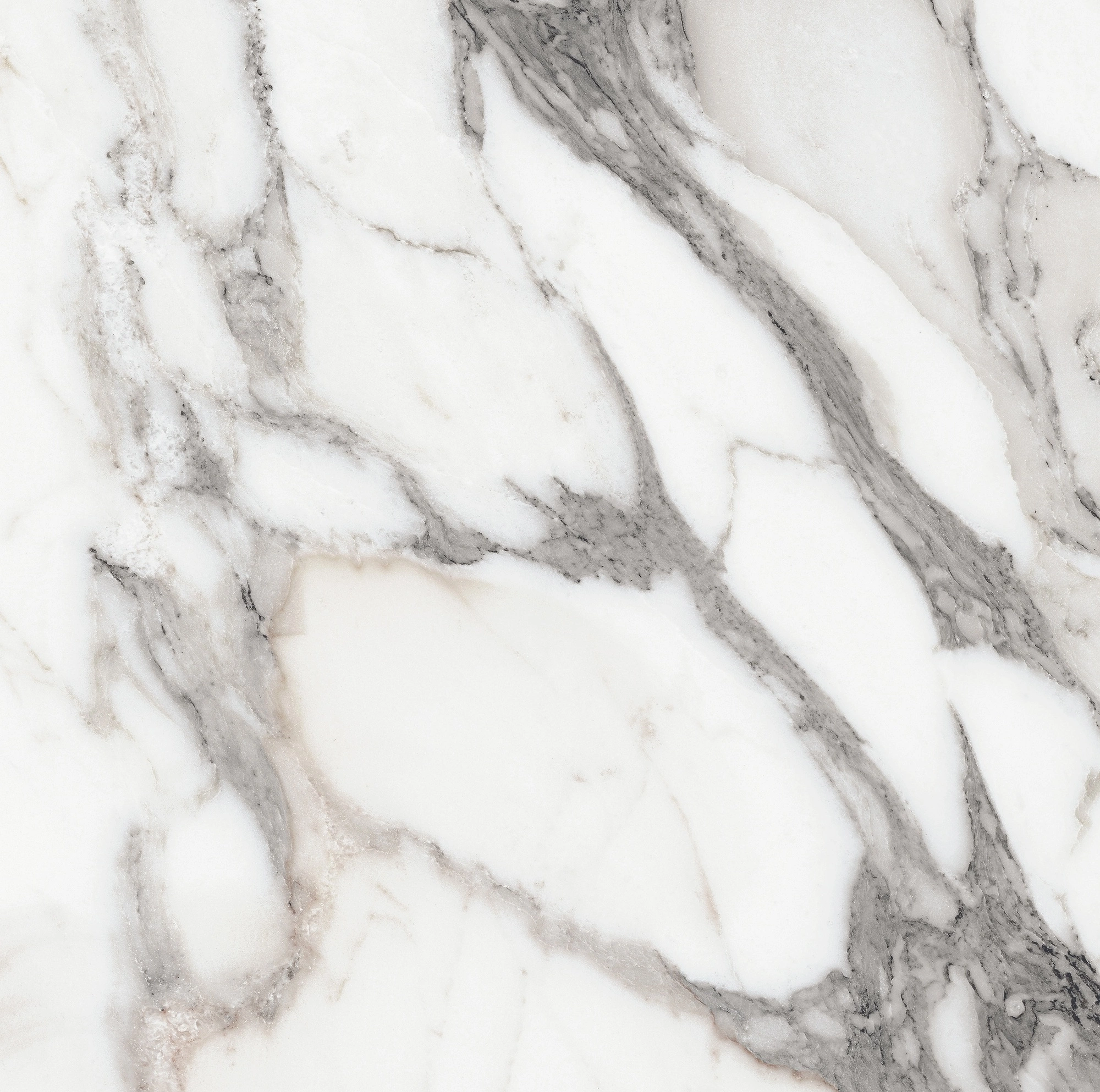 Florim Rex Origines De Rex Argent Glossy 60X60 Rett 769843