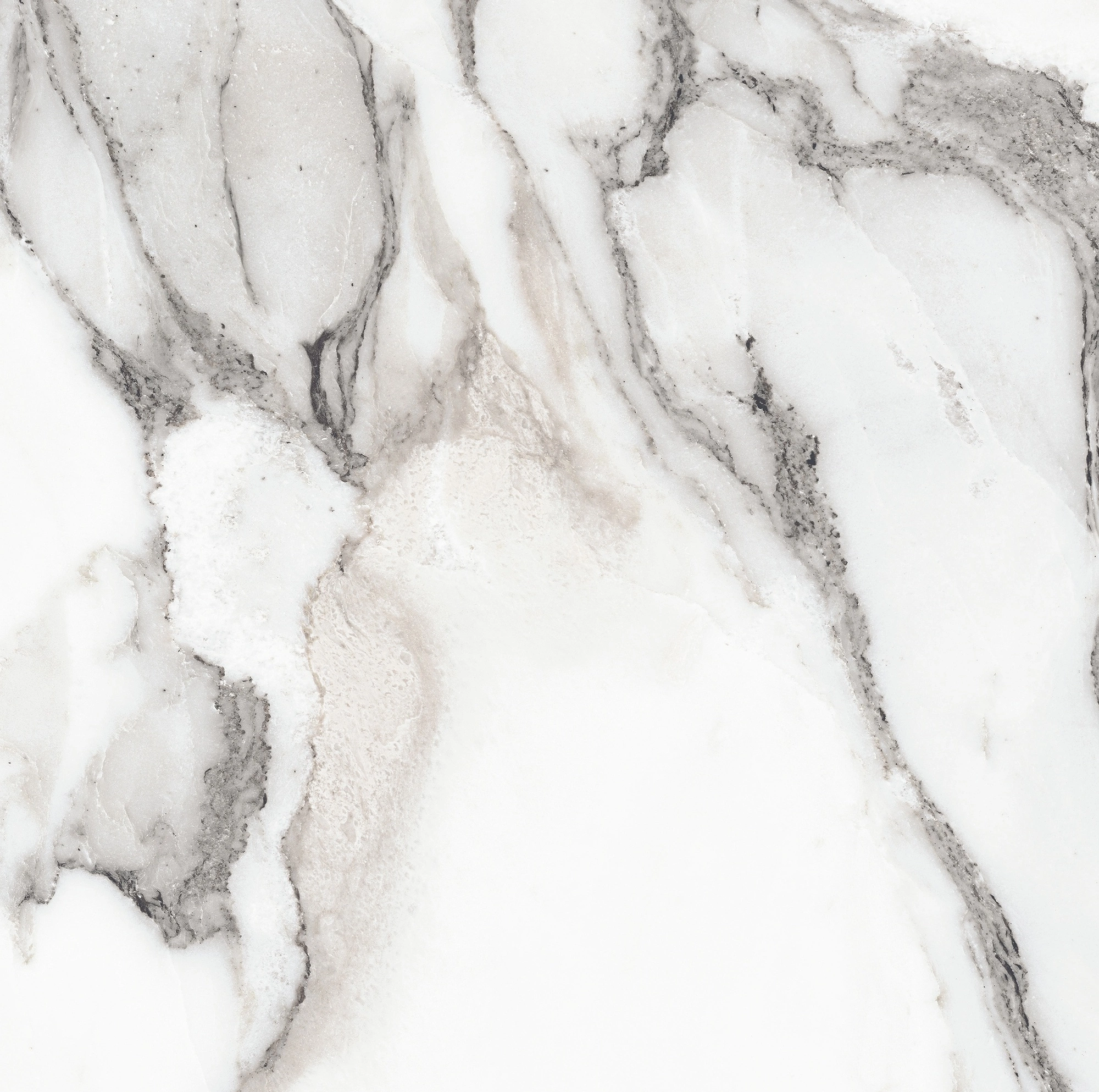 Florim Rex Origines De Rex Argent Glossy 60X60 Rett 769843