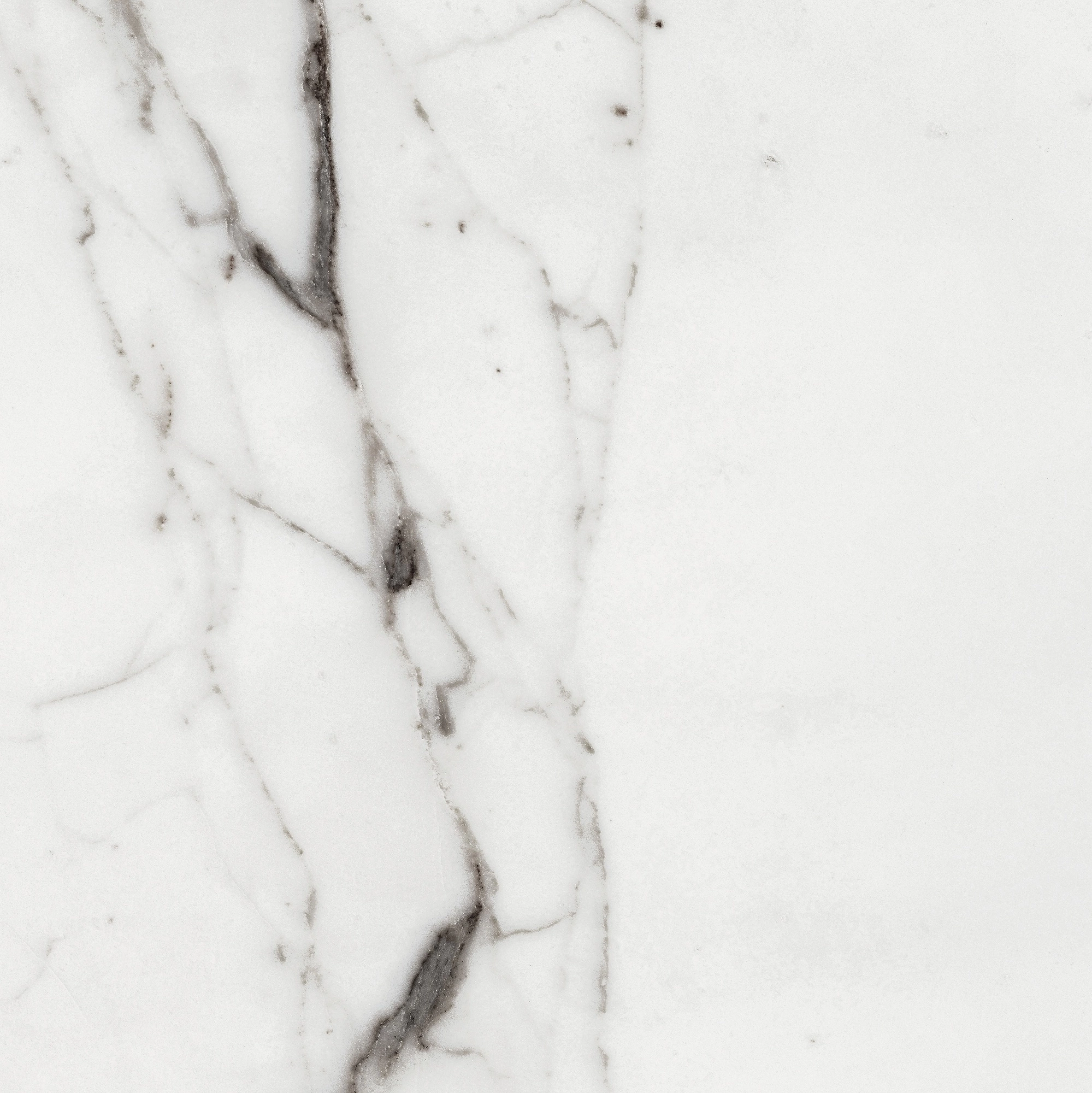 Florim Rex Origines De Rex Argent Glossy 60X60 Rett 769843