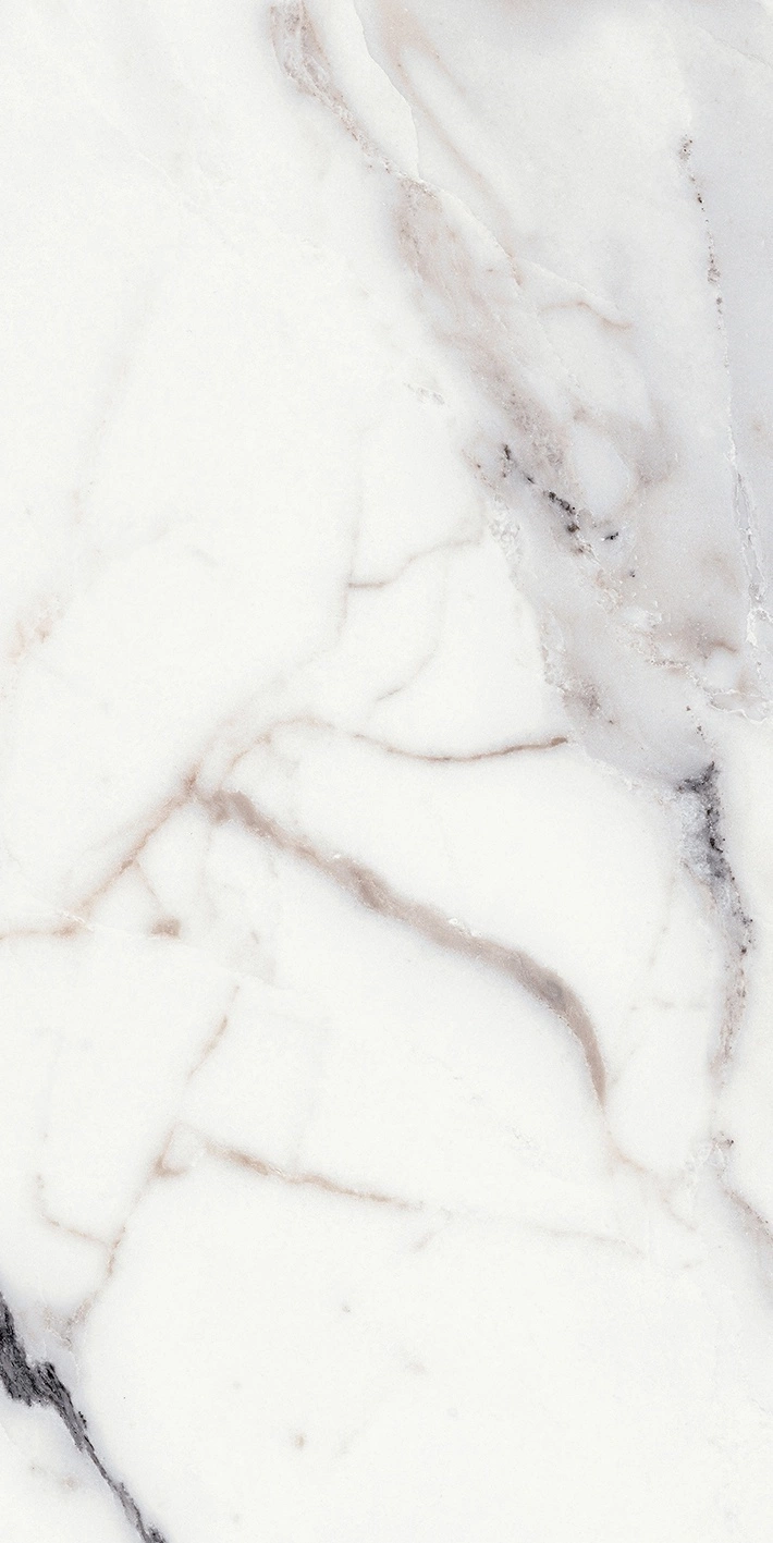 Florim Rex Origines De Rex Argent Mat 6Mm 60X120 R 769979