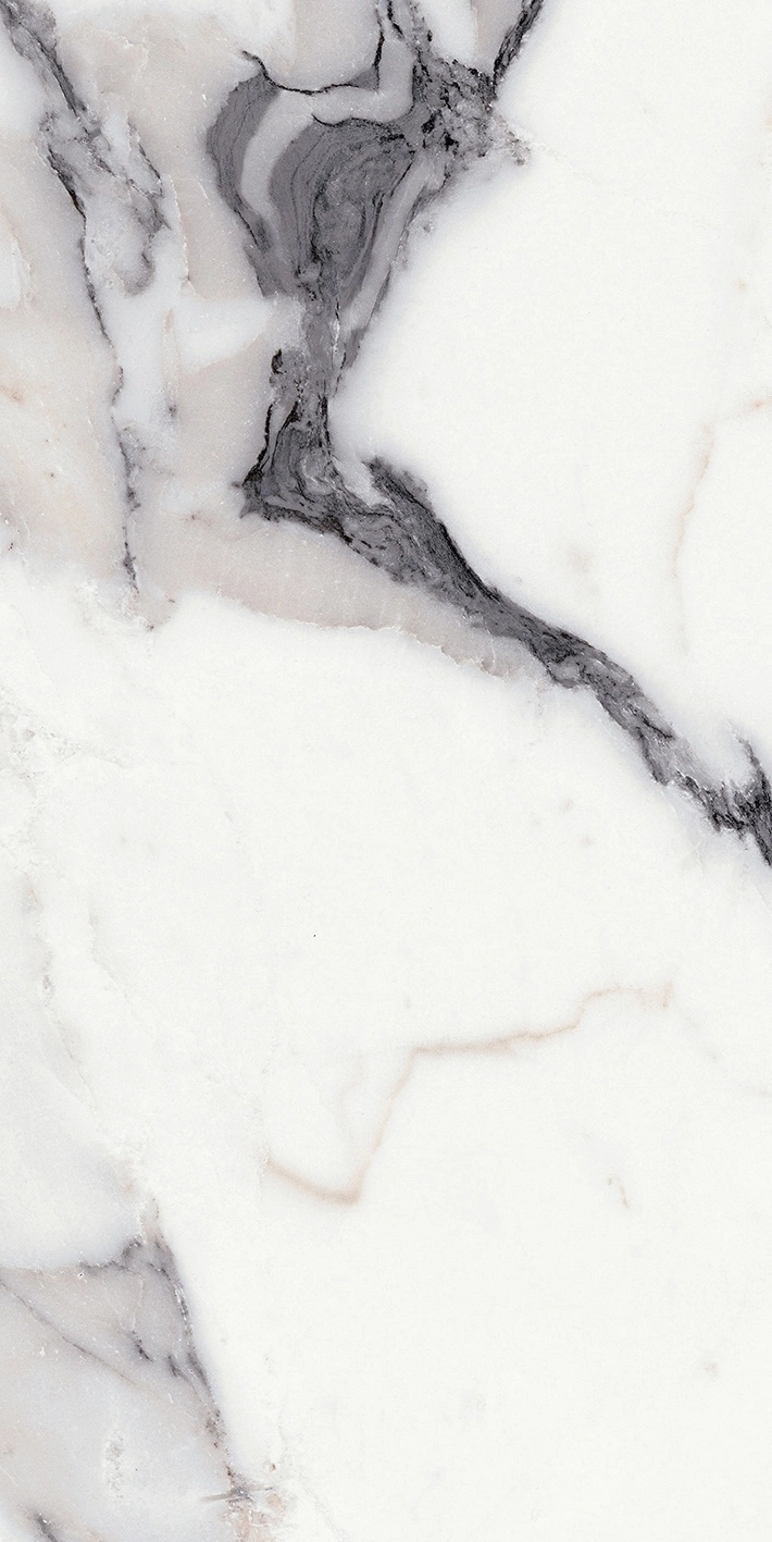 Florim Rex Origines De Rex Argent Mat 6Mm 60X120 R 769979