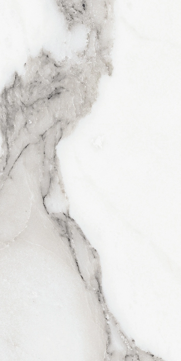 Florim Rex Origines De Rex Argent Matte 30X60 Rett 769847