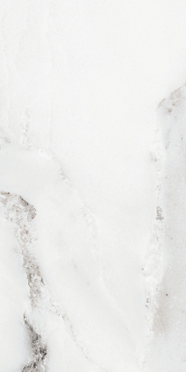 Florim Rex Origines De Rex Argent Matte 30X60 Rett 769847