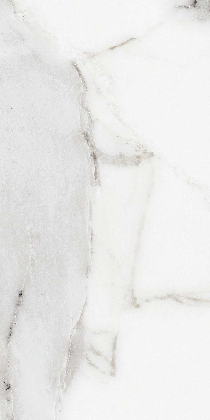 Florim Rex Origines De Rex Argent Matte 30X60 Rett 769847