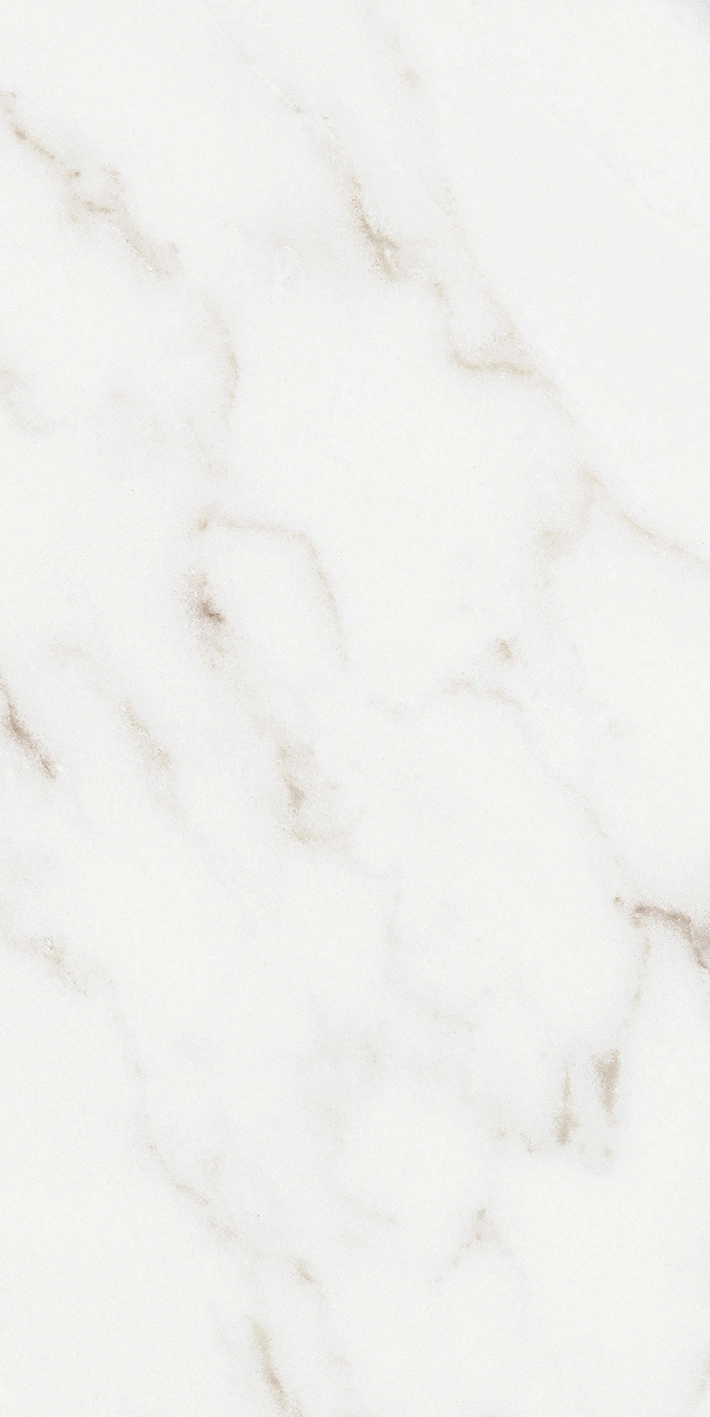 Florim Rex Origines De Rex Argent Matte 30X60 Rett 769847