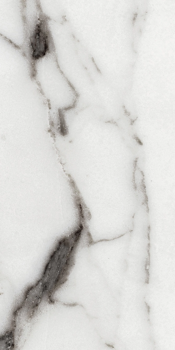 Florim Rex Origines De Rex Argent Matte 30X60 Rett 769847