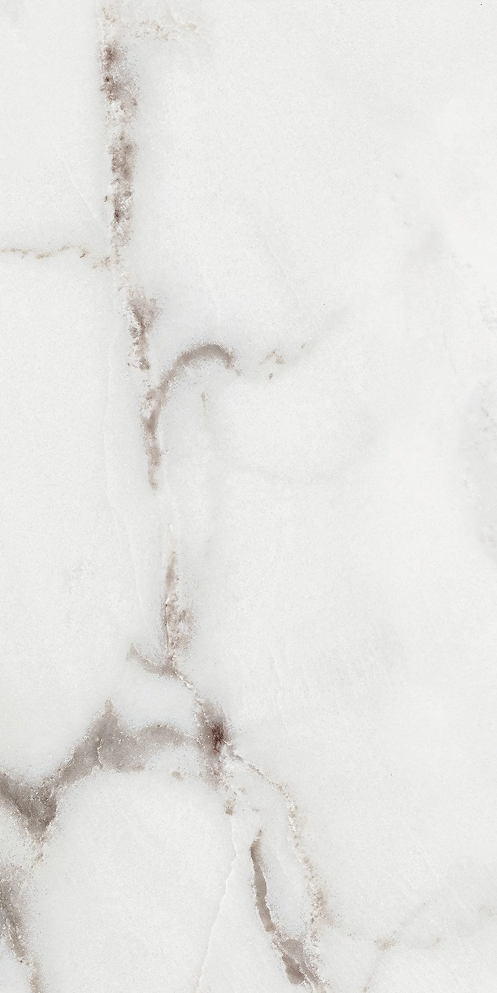 Florim Rex Origines De Rex Argent Matte 30X60 Rett 769847