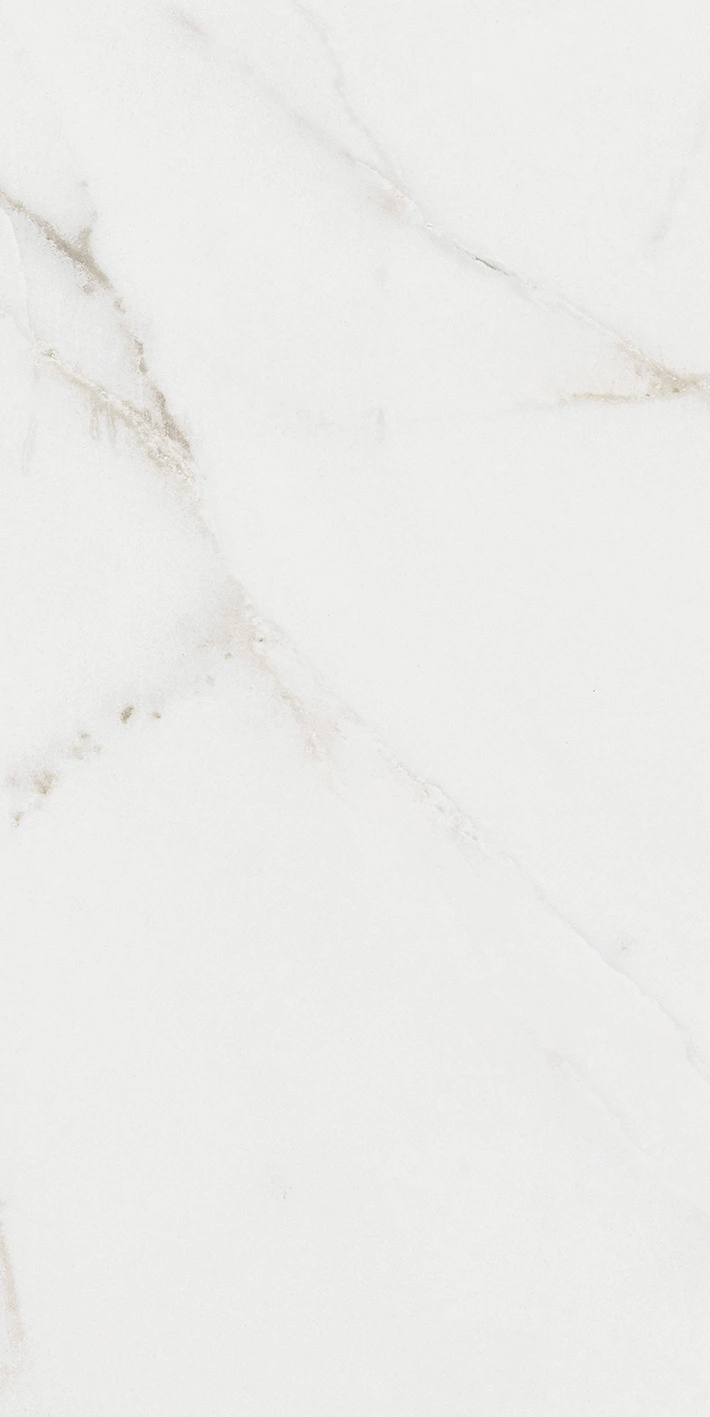 Florim Rex Origines De Rex Argent Matte 30X60 Rett 769847