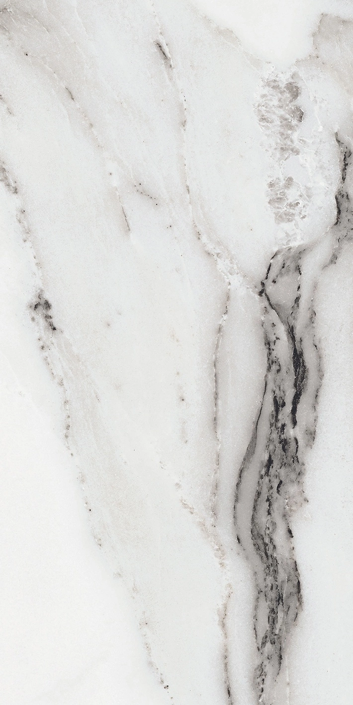 Florim Rex Origines De Rex Argent Matte 30X60 Rett 769847