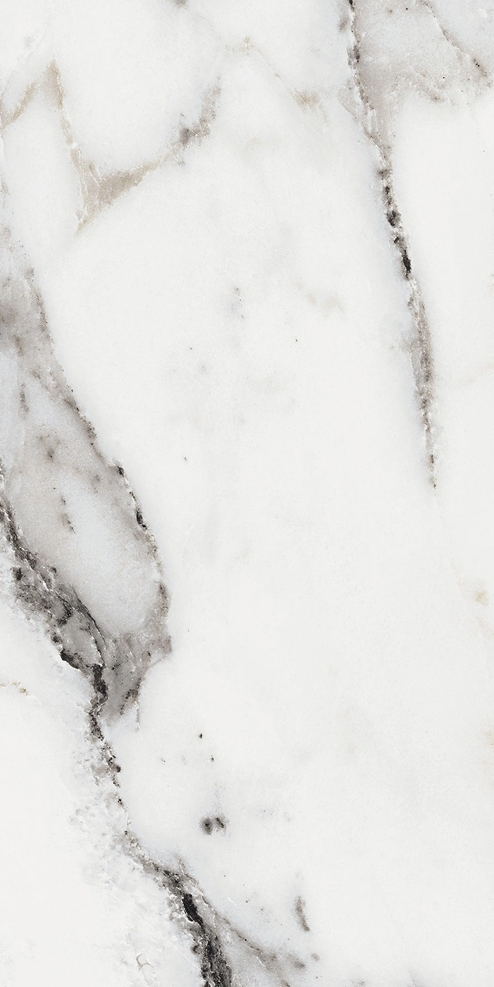 Florim Rex Origines De Rex Argent Matte 30X60 Rett 769847