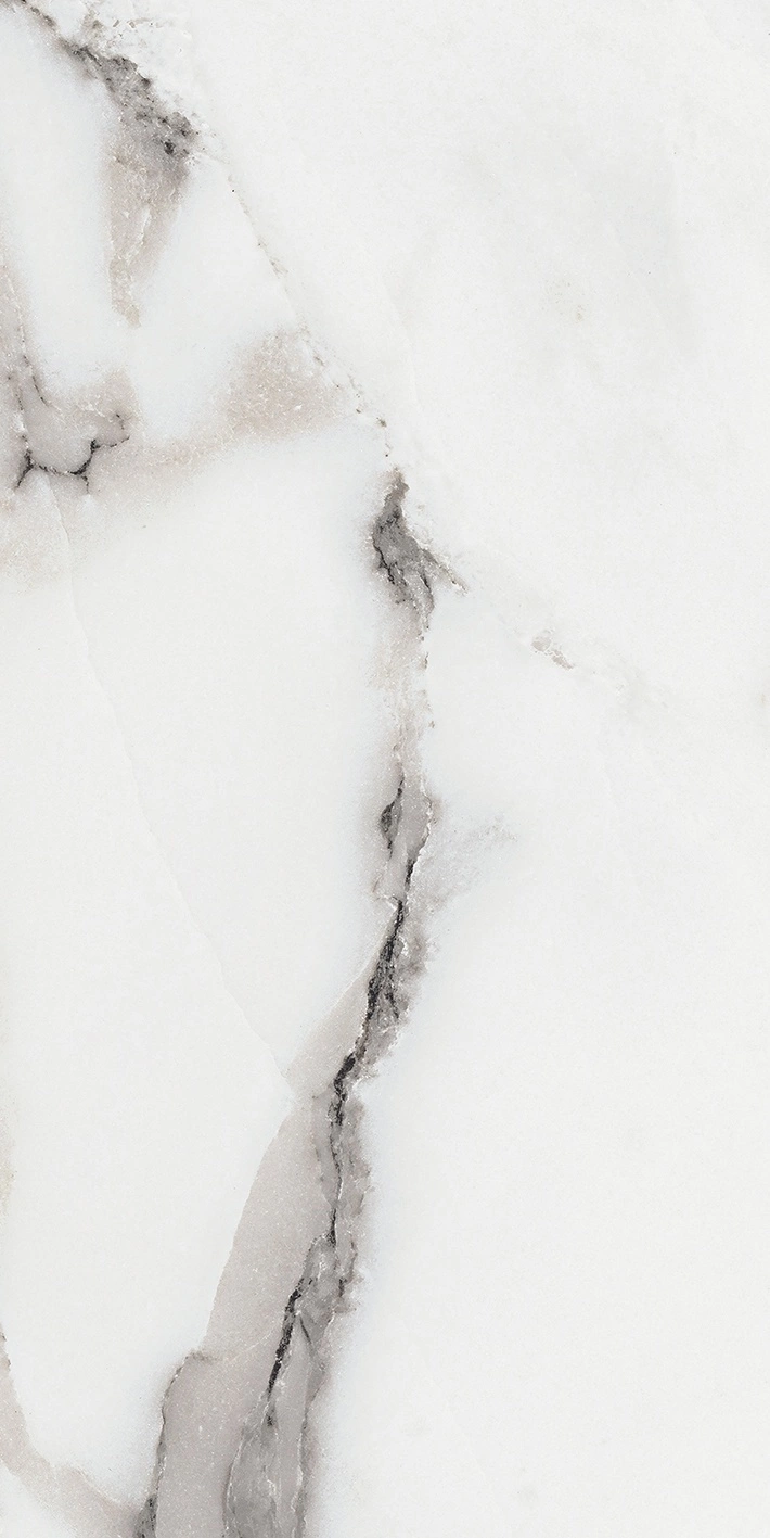 Florim Rex Origines De Rex Argent Matte 30X60 Rett 769847