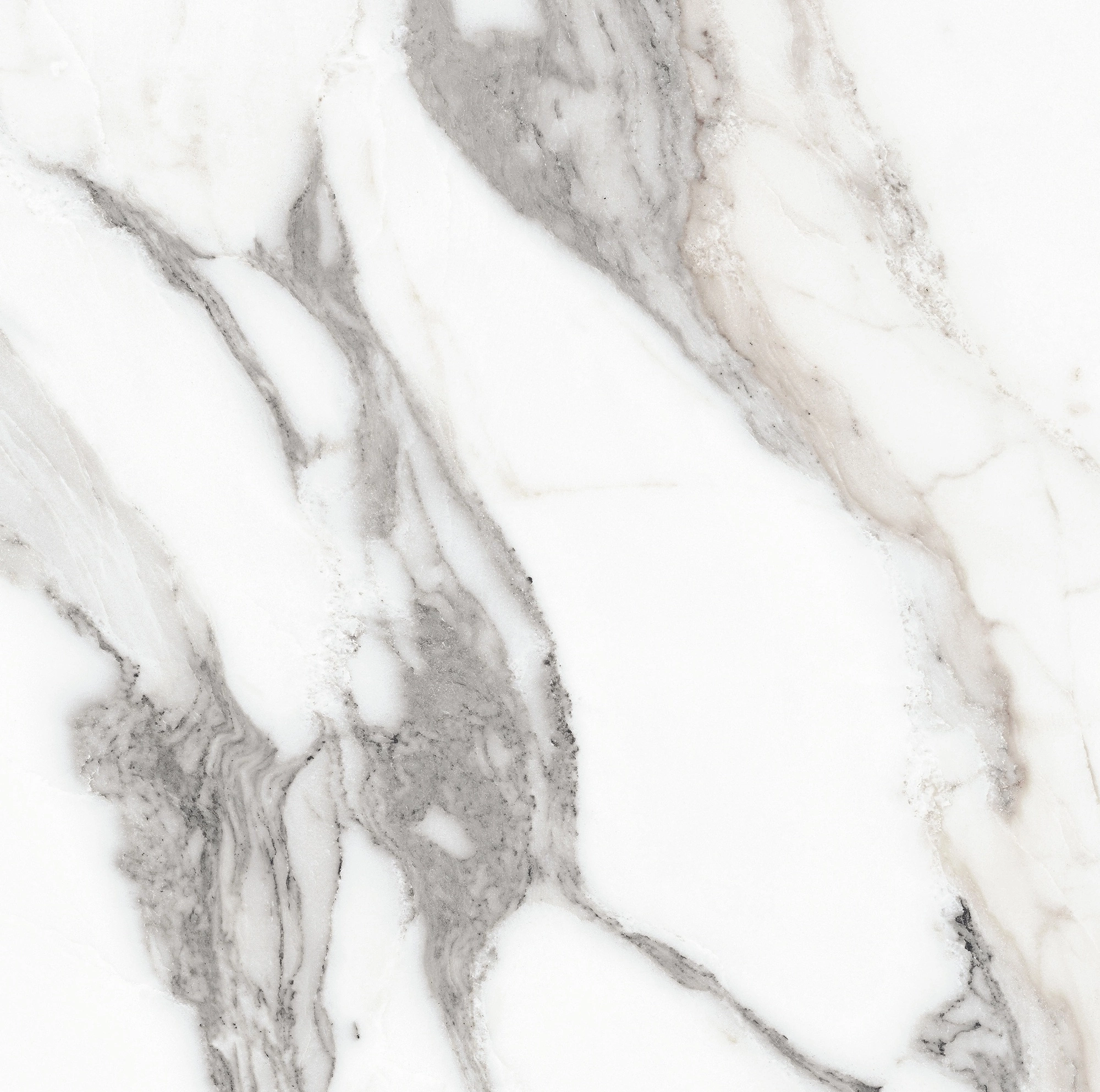 Florim Rex Origines De Rex Argent Matte 60X60 Rett 769839