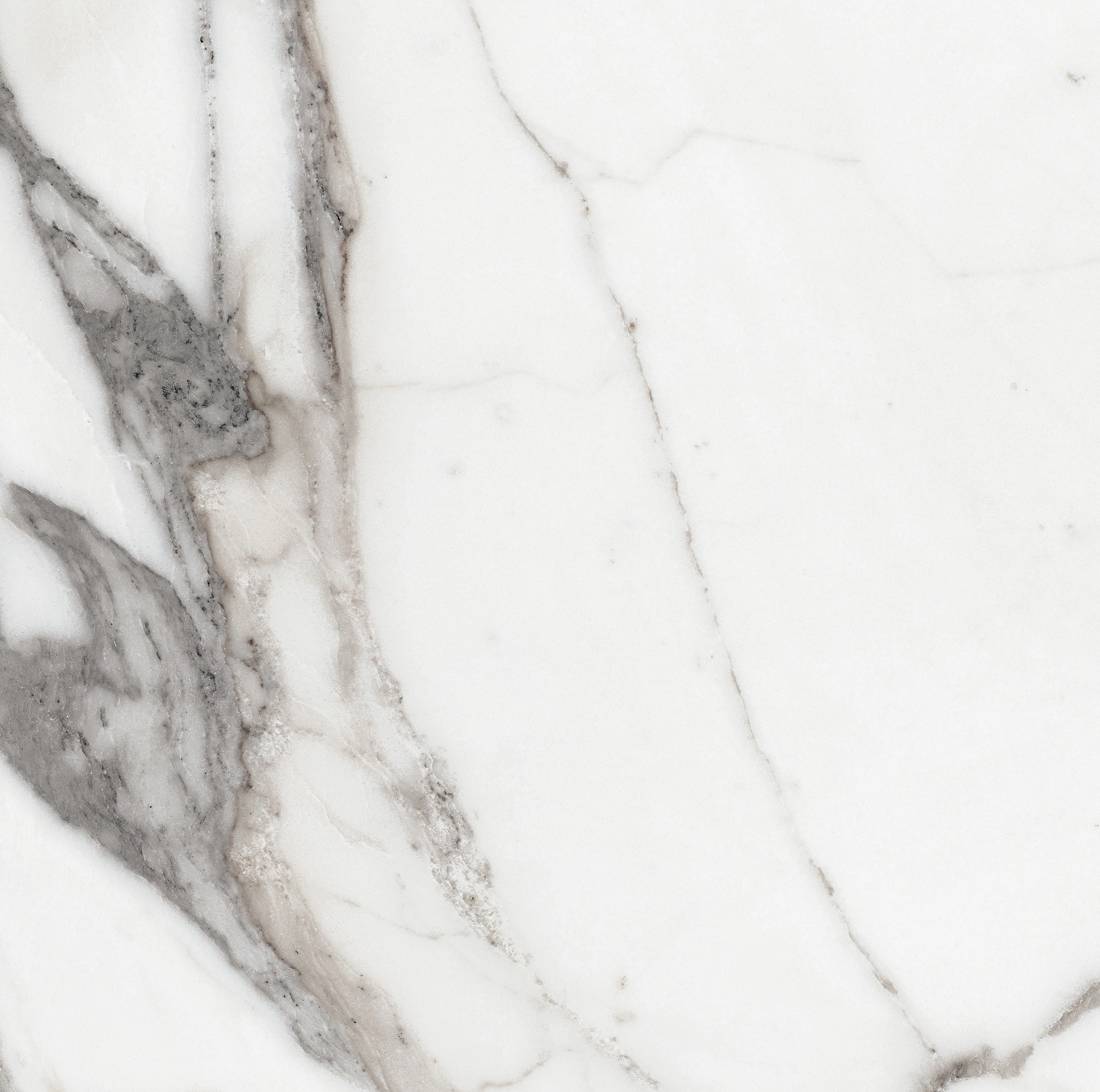 Florim Rex Origines De Rex Argent Matte 60X60 Rett 769839